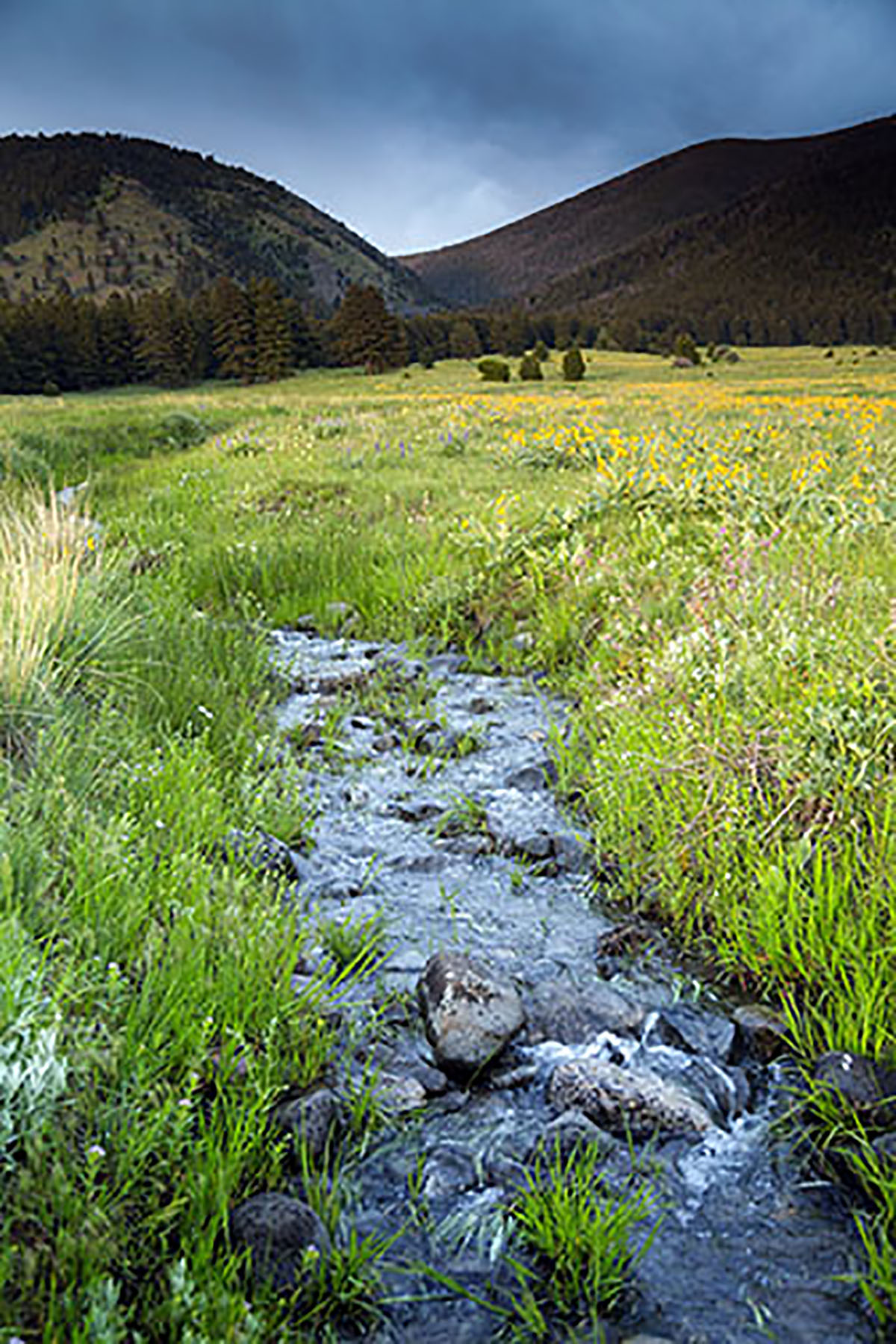 Bridger Passage Ranch property picture 6 of 28