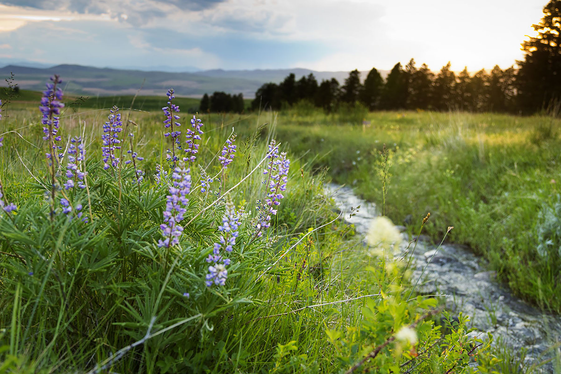 Bridger Passage Ranch property picture 11 of 28