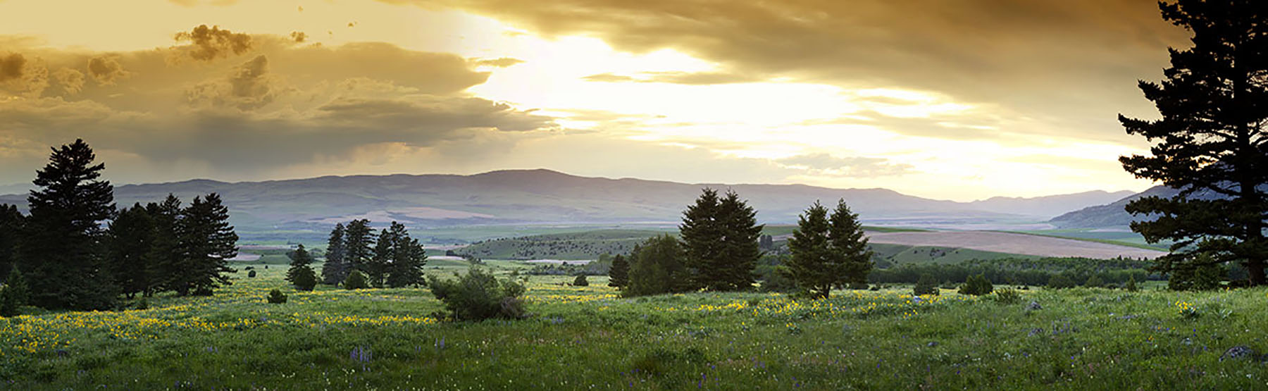Bridger Passage Ranch property picture 9 of 28