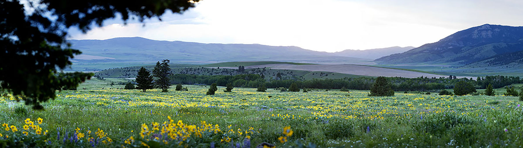 Bridger Passage Ranch property picture 25 of 28