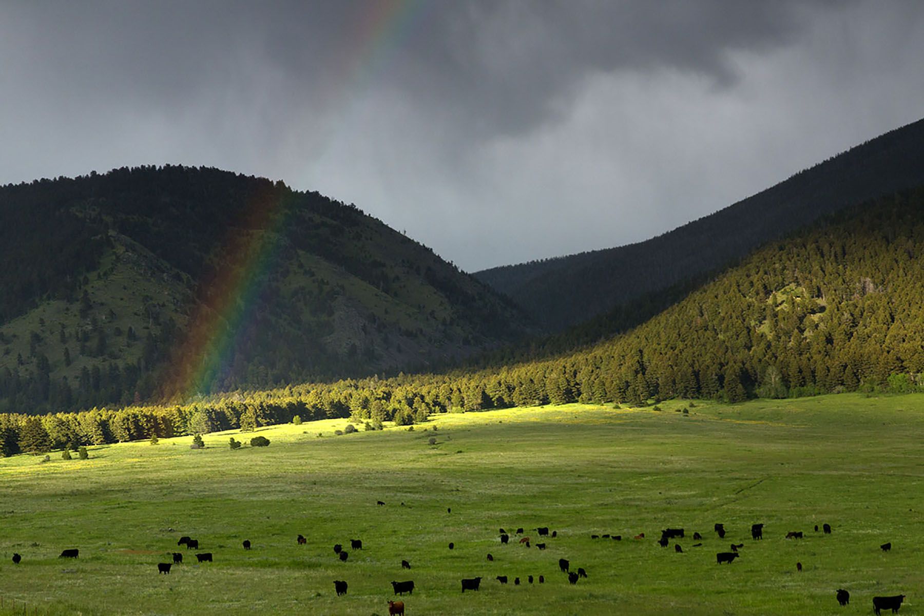 Bridger Passage Ranch property picture 26 of 28