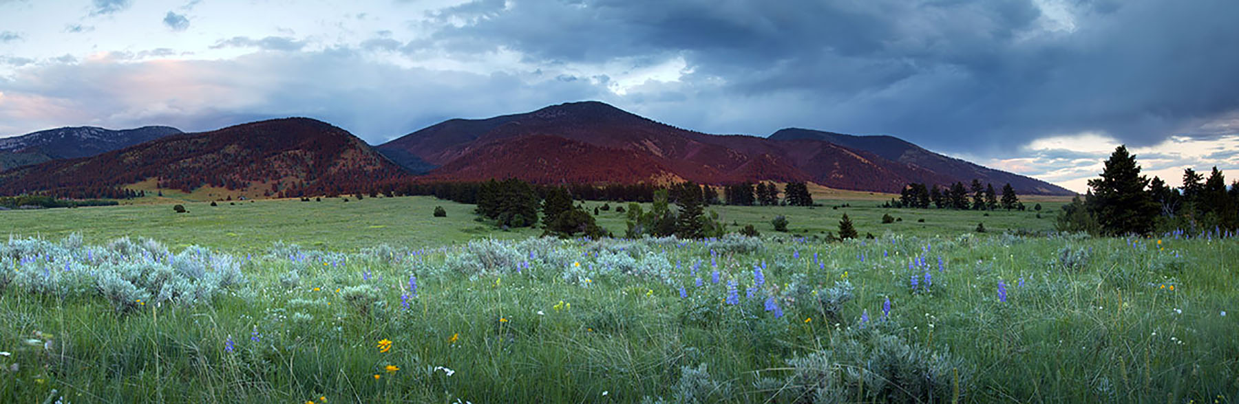 Bridger Passage Ranch property picture 27 of 28