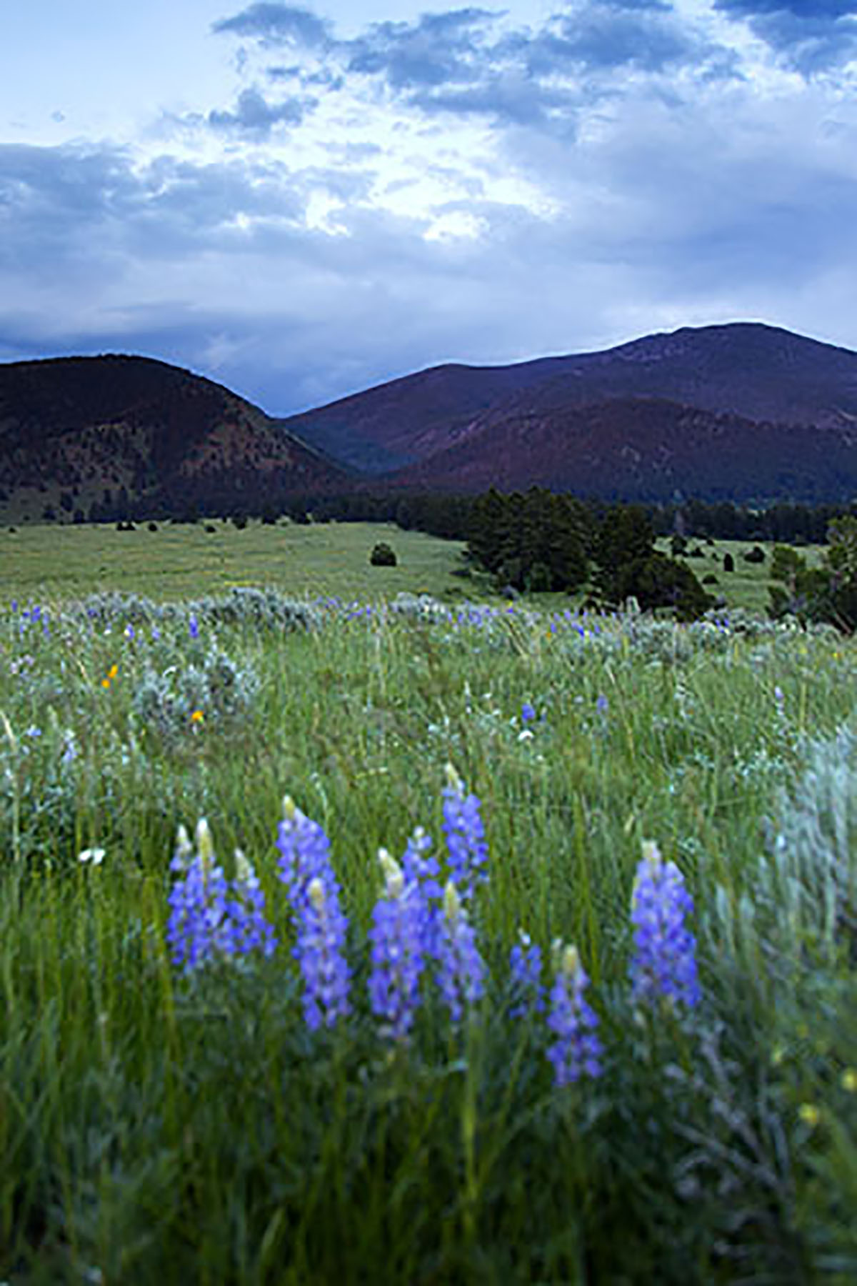 Bridger Passage Ranch property picture 28 of 28