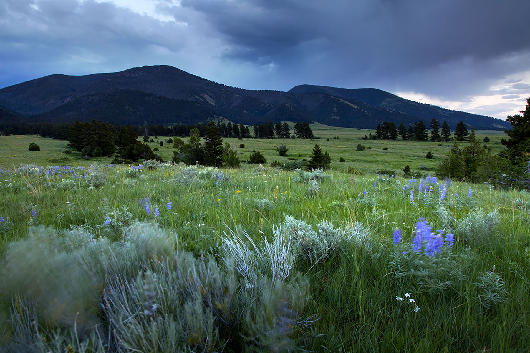Bridger Passage Ranch property picture 13 of 28