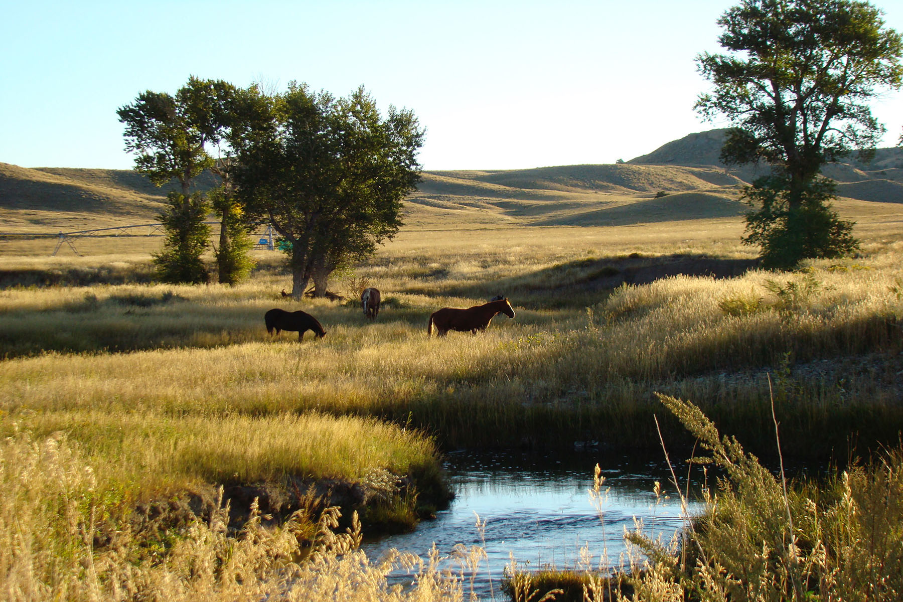 Otter Buttes Ranch property picture 19 of 24