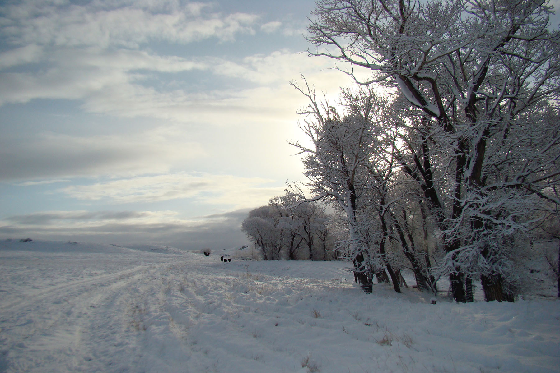 Otter Buttes Ranch property picture 20 of 24