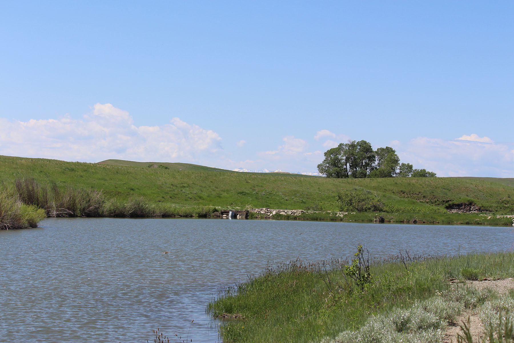 Otter Buttes Ranch property picture 12 of 24