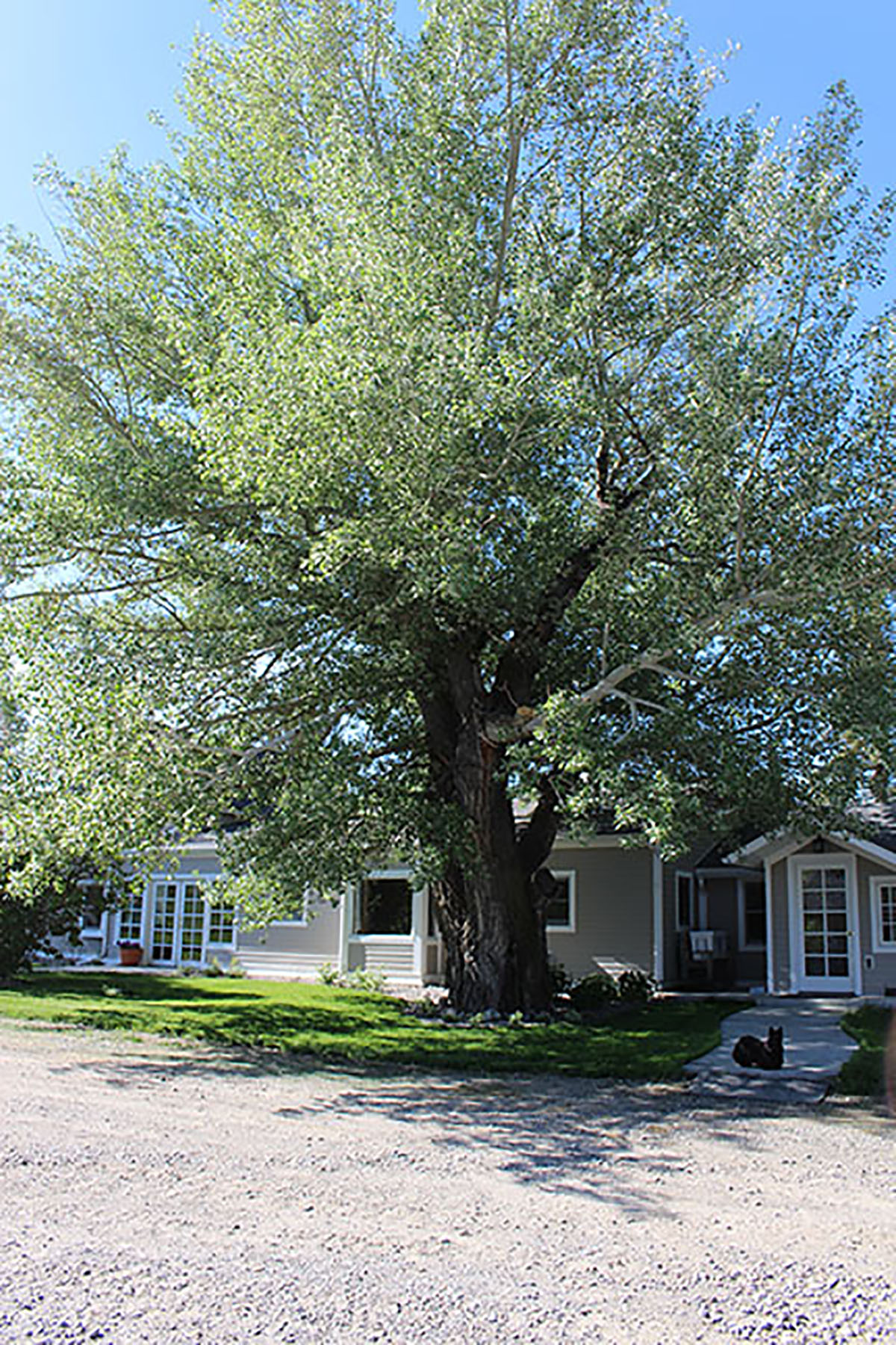 Otter Buttes Ranch property picture 5 of 24