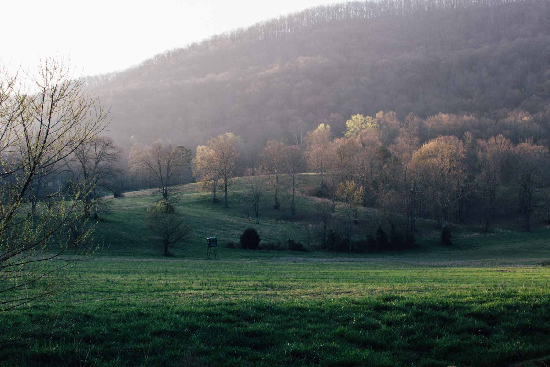 B&H Ranch property picture 4 of 104