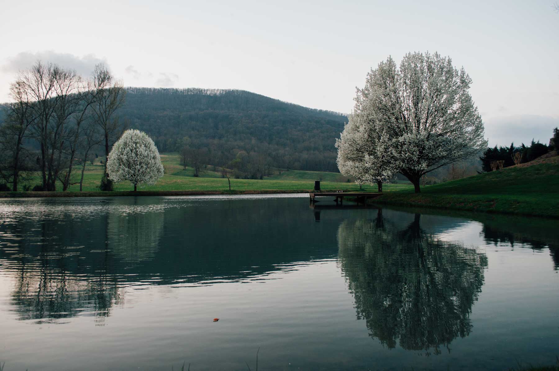 B&H Ranch property picture 5 of 104