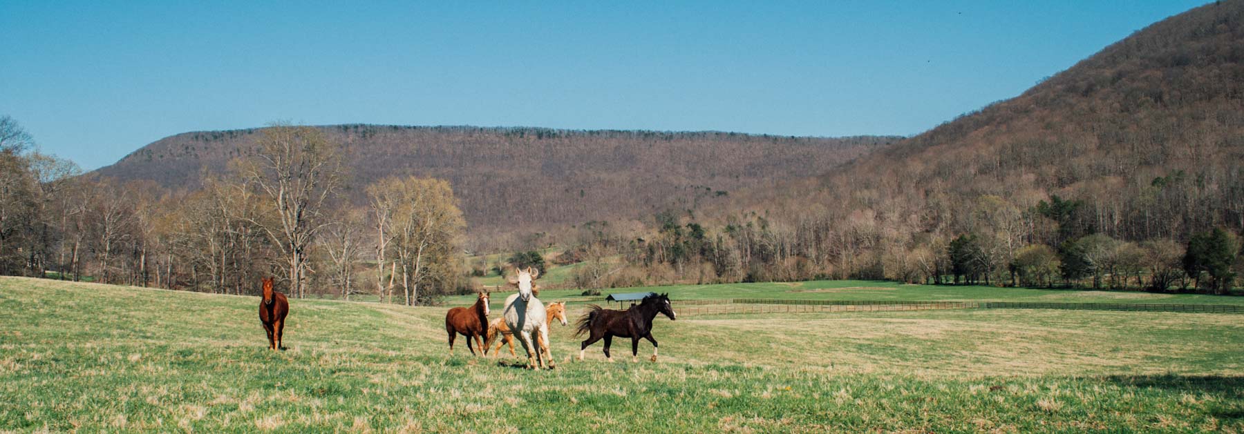 B&H Ranch property picture 6 of 104