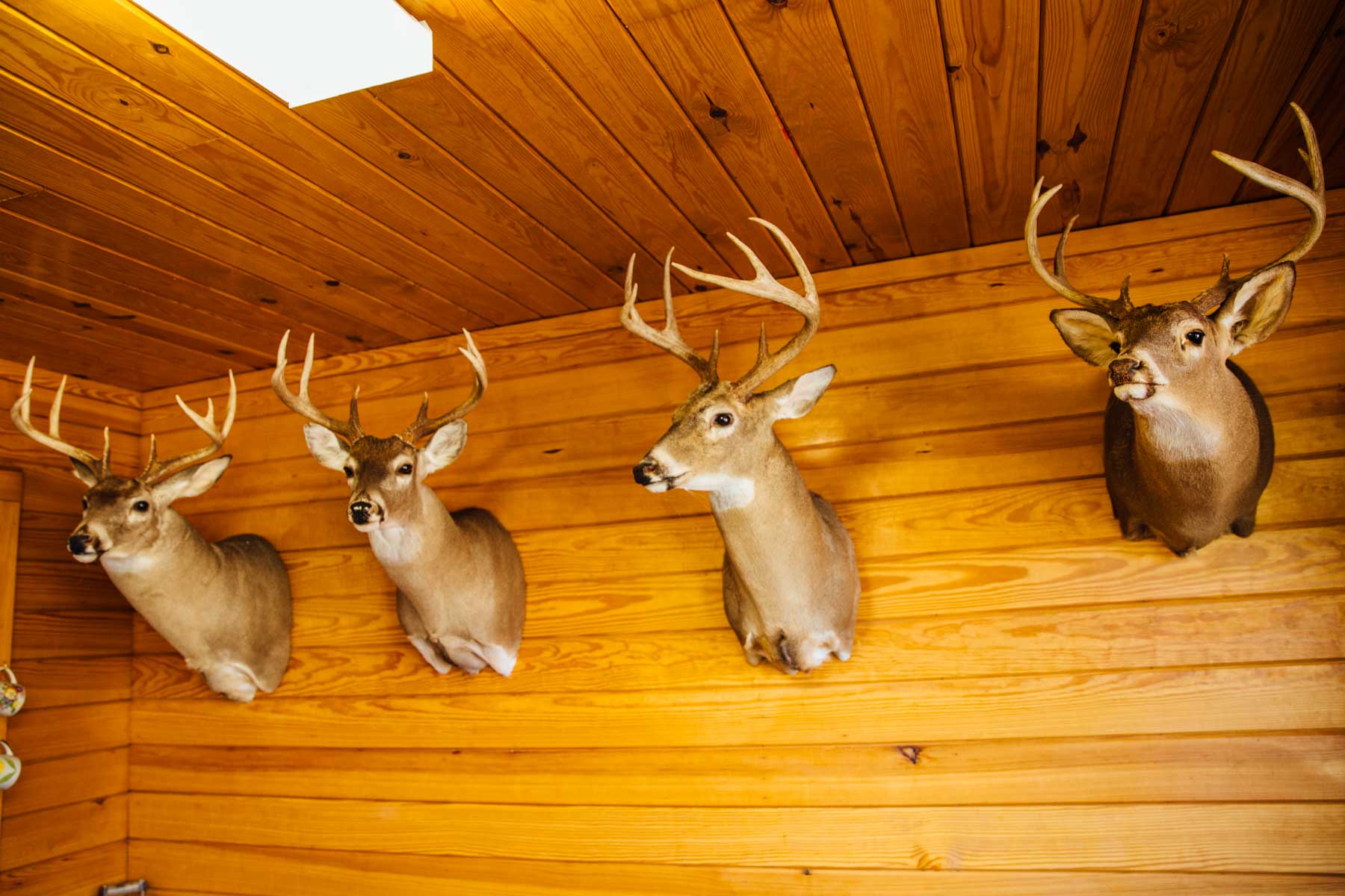 B&H Ranch property picture 59 of 104