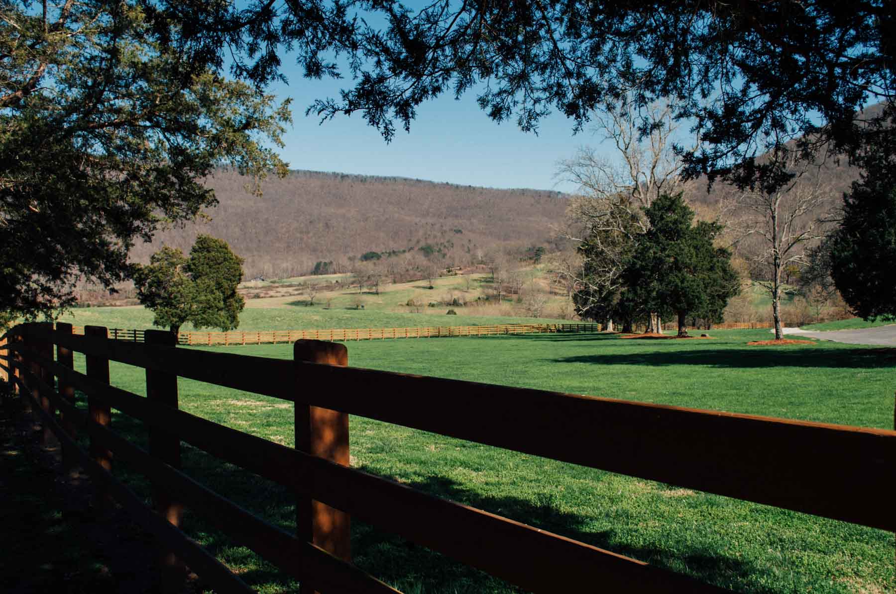 B&H Ranch property picture 82 of 104