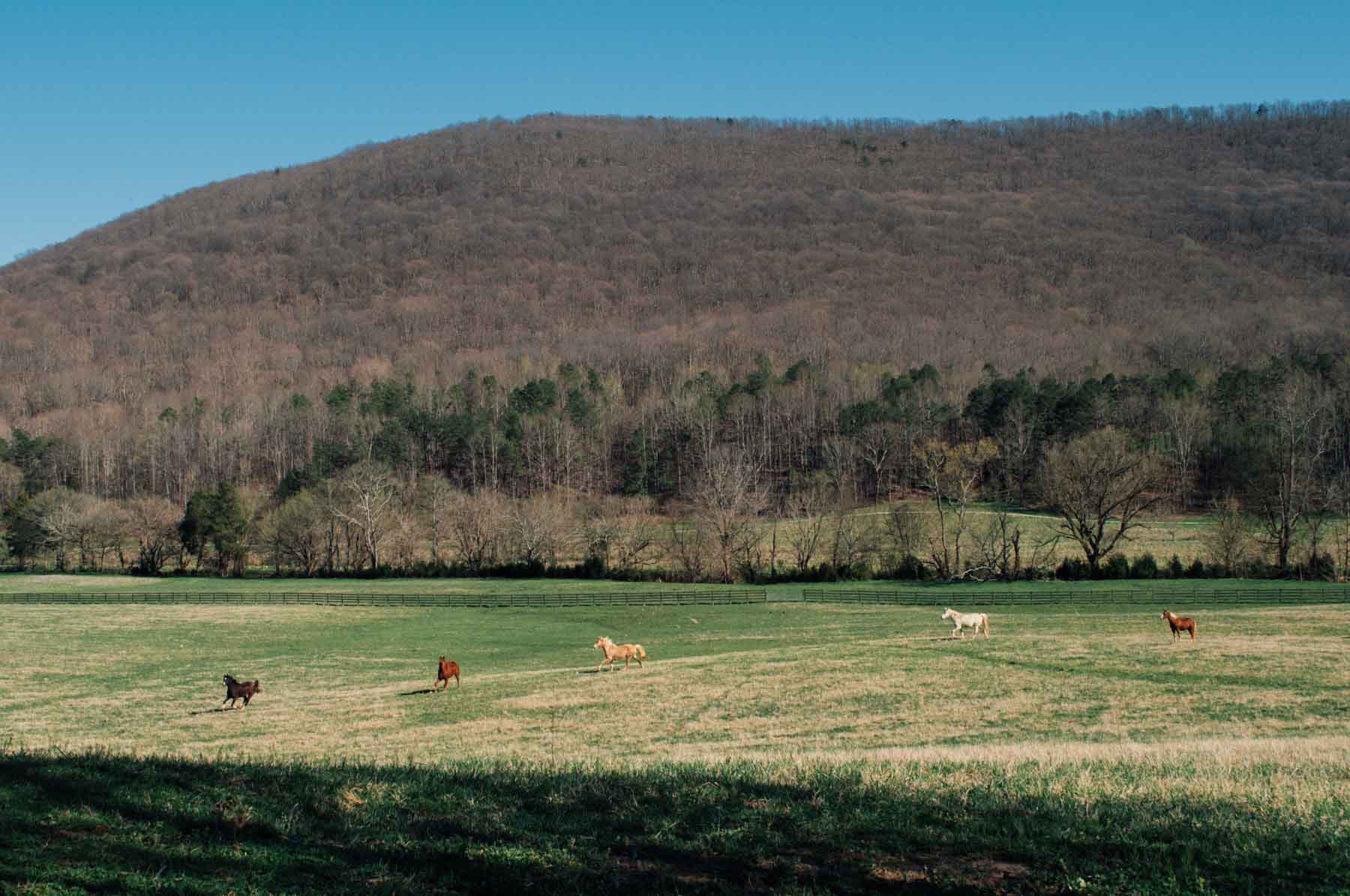 B&H Ranch property picture 84 of 104