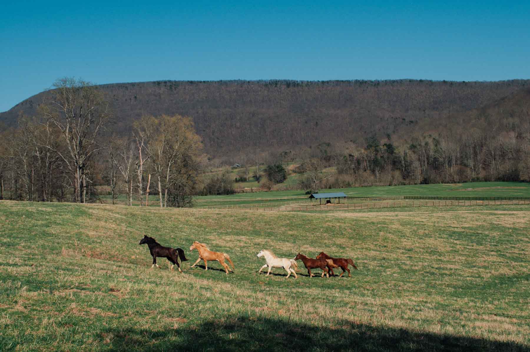 B&H Ranch property picture 85 of 104