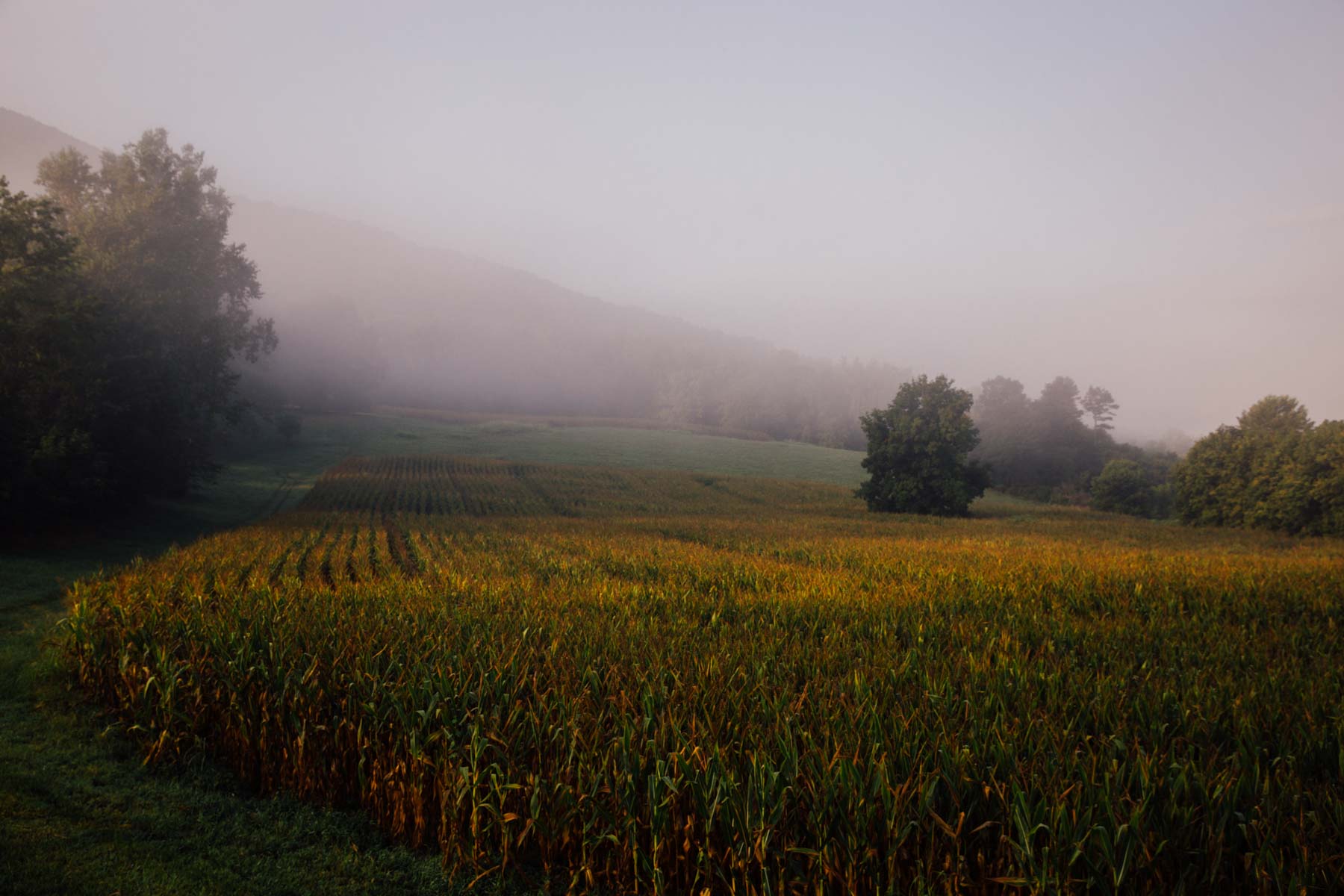 B&H Ranch property picture 93 of 104