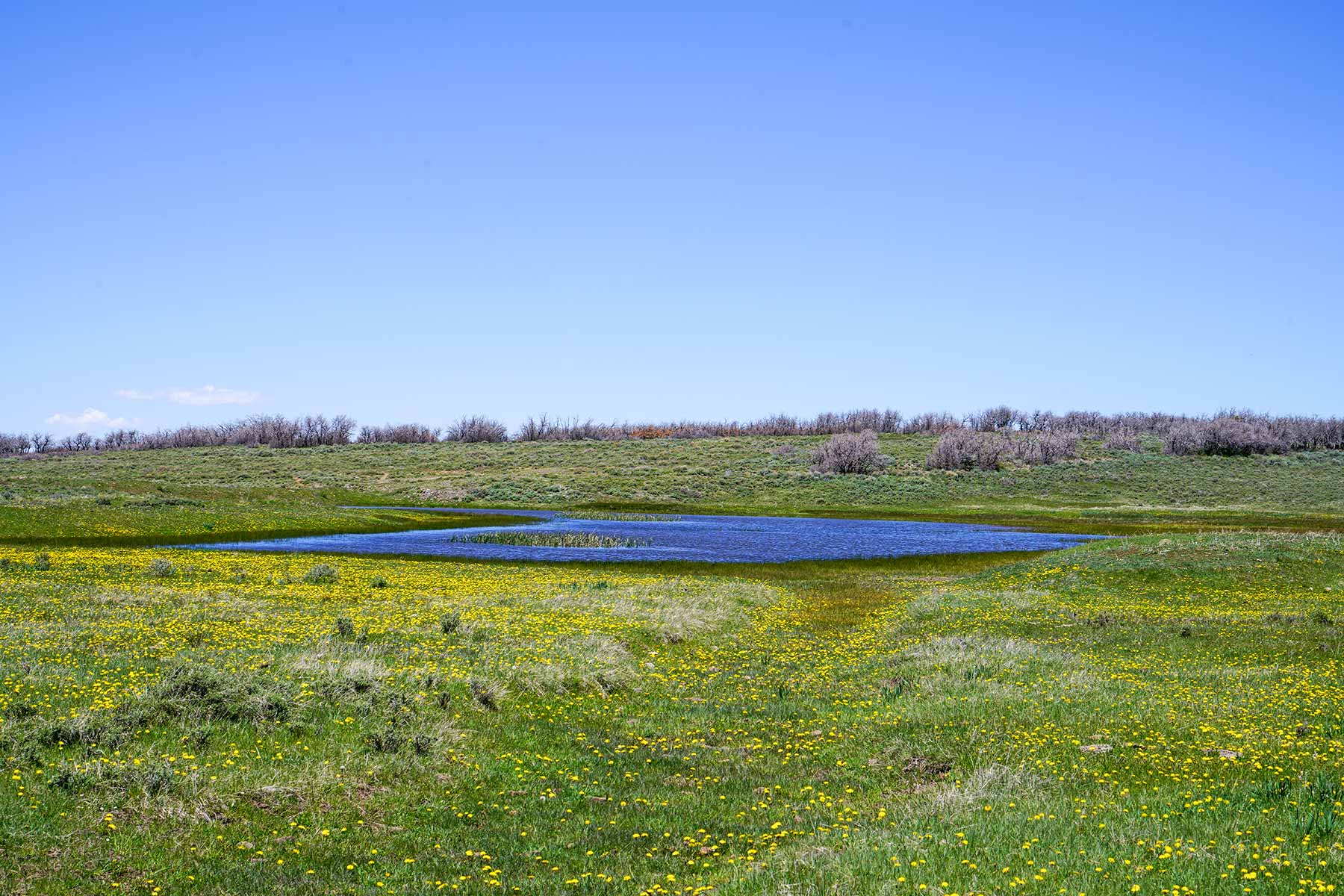 Canyon Creek Ranch property picture 27 of 50