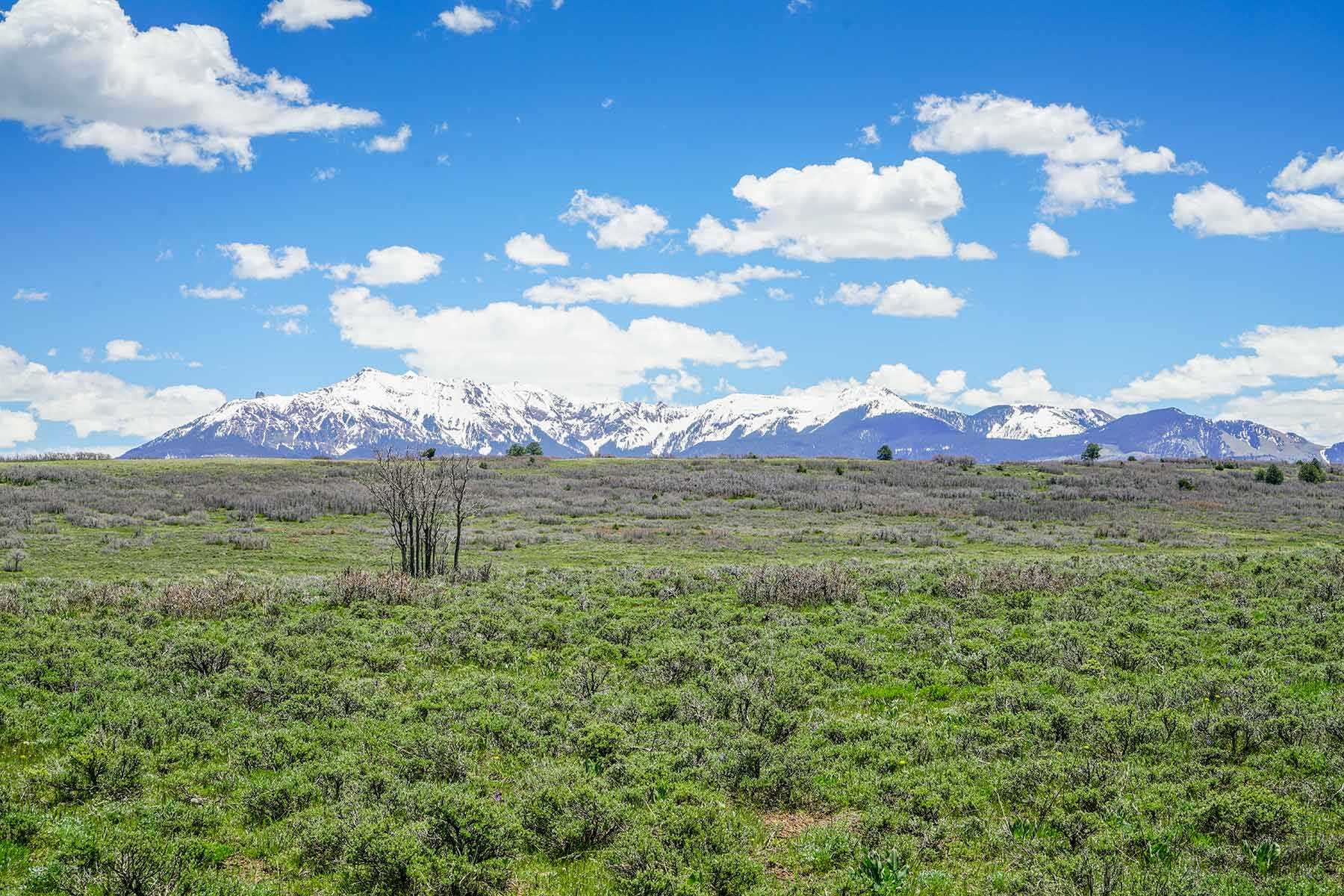 Canyon Creek Ranch property picture 29 of 50