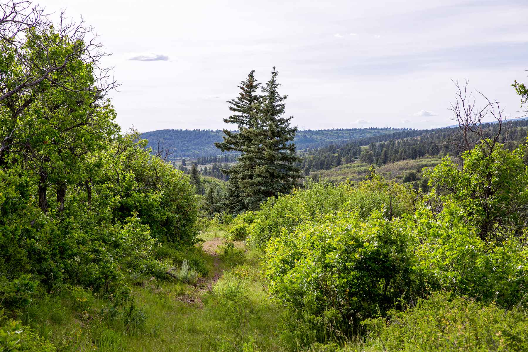 Canyon Creek Ranch property picture 34 of 50