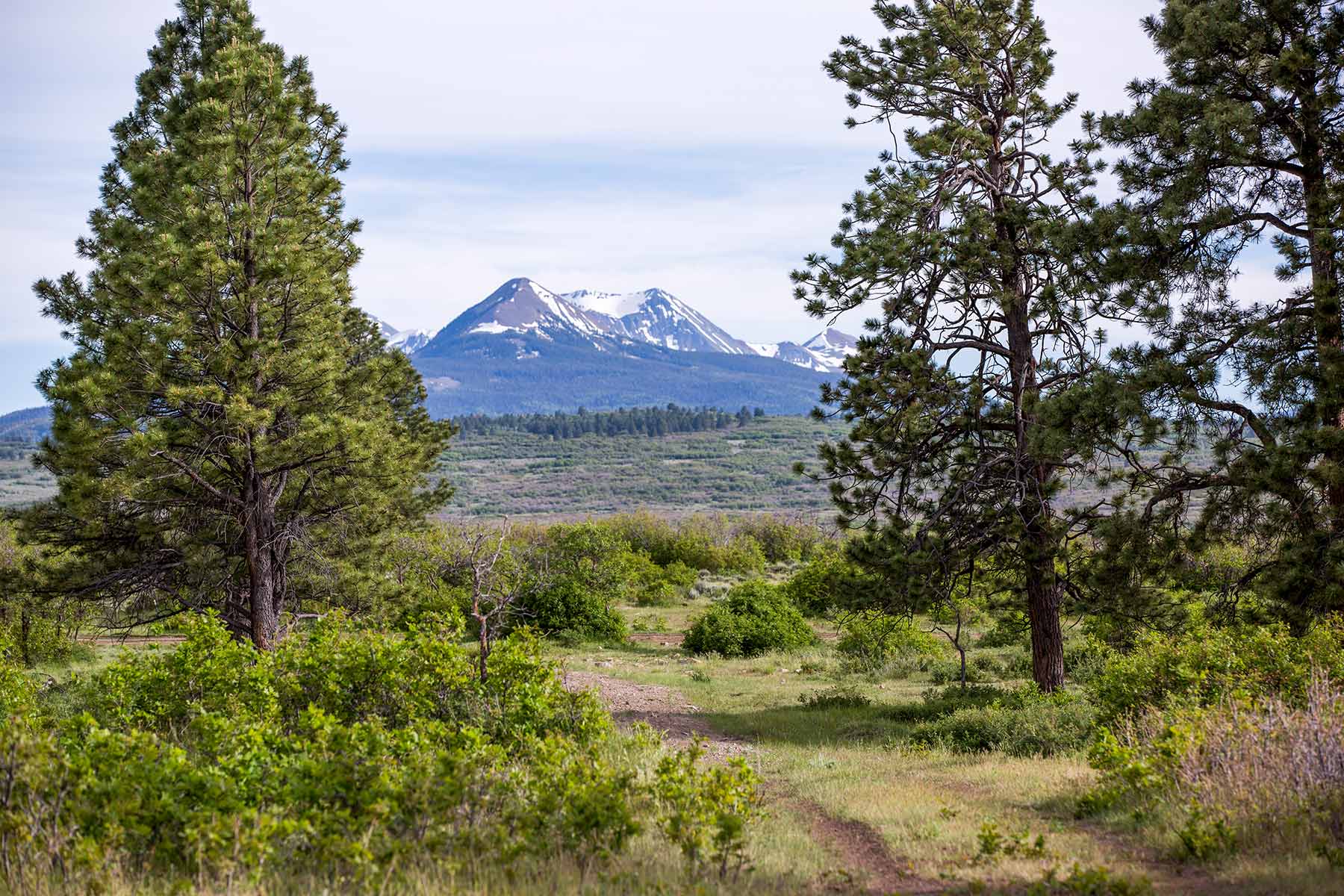 Canyon Creek Ranch property picture 17 of 50