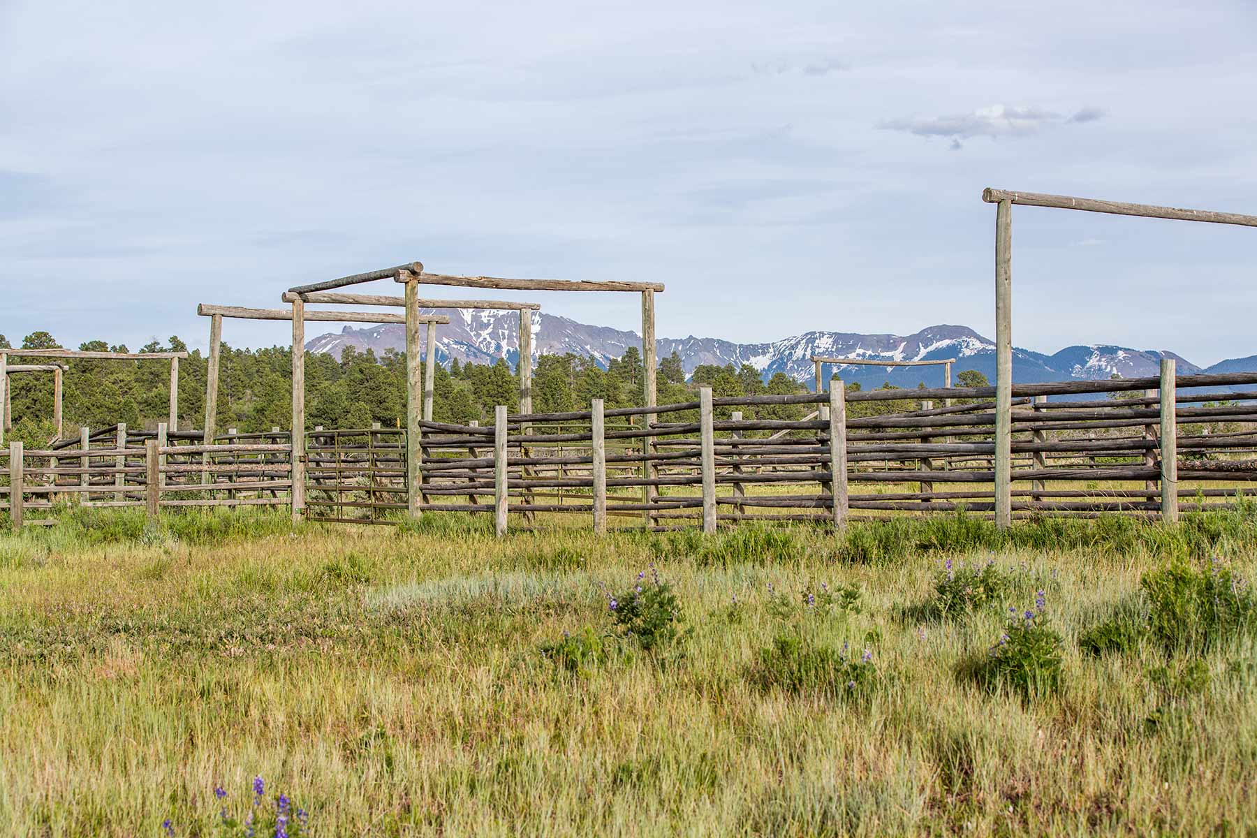 Canyon Creek Ranch property picture 14 of 50