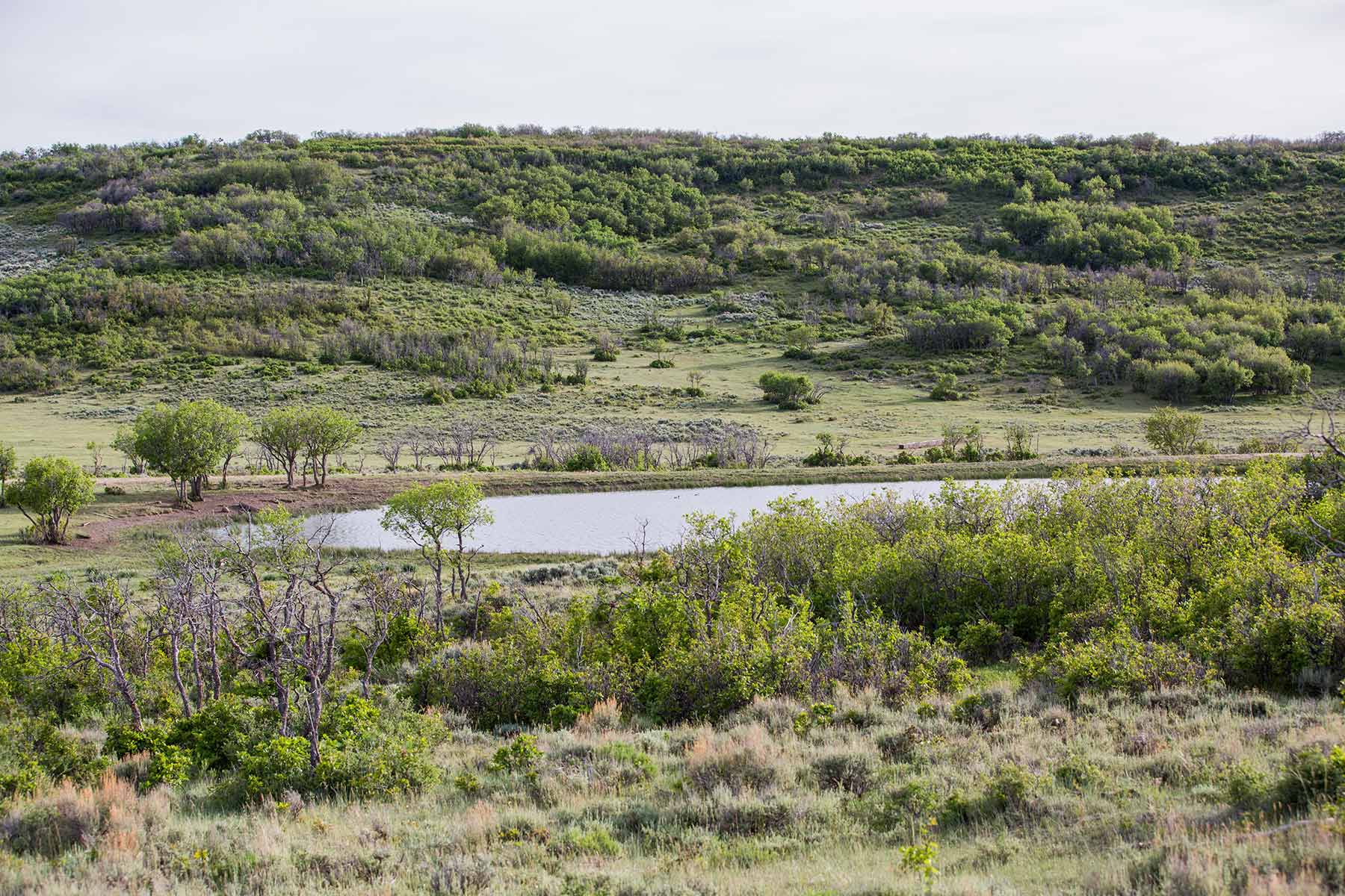Canyon Creek Ranch property picture 41 of 50