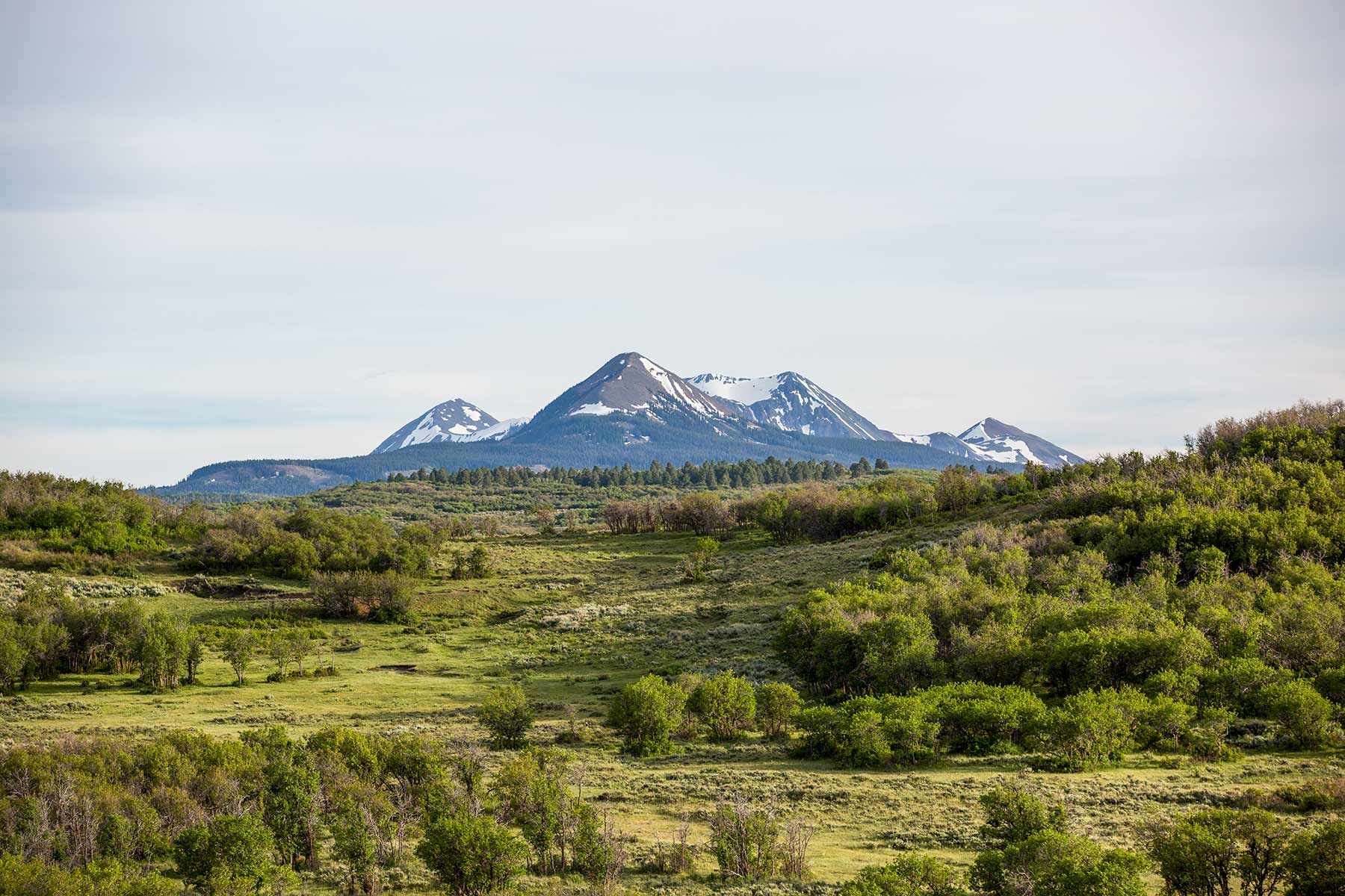 Canyon Creek Ranch property picture 10 of 50