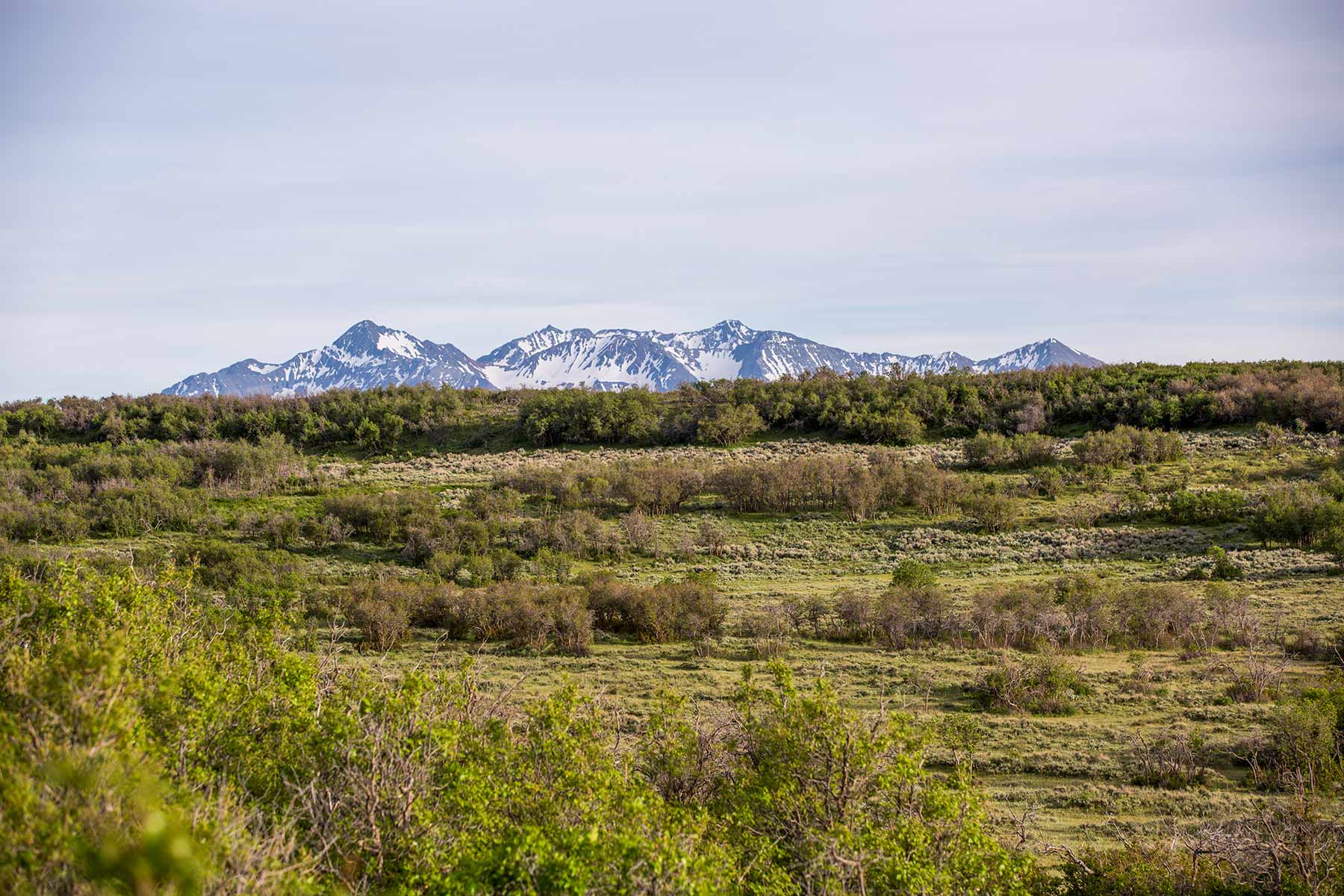 Canyon Creek Ranch property picture 42 of 50