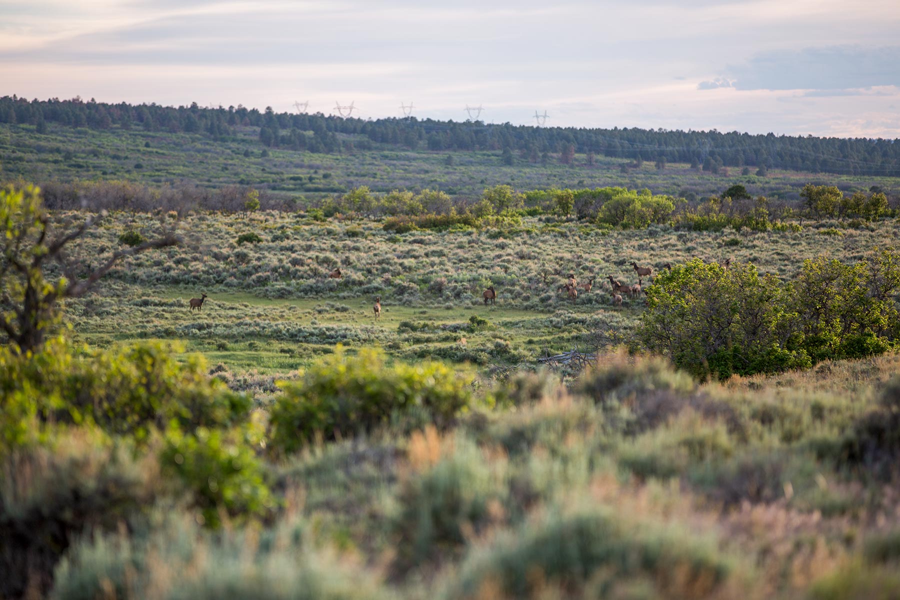 Canyon Creek Ranch property picture 43 of 50