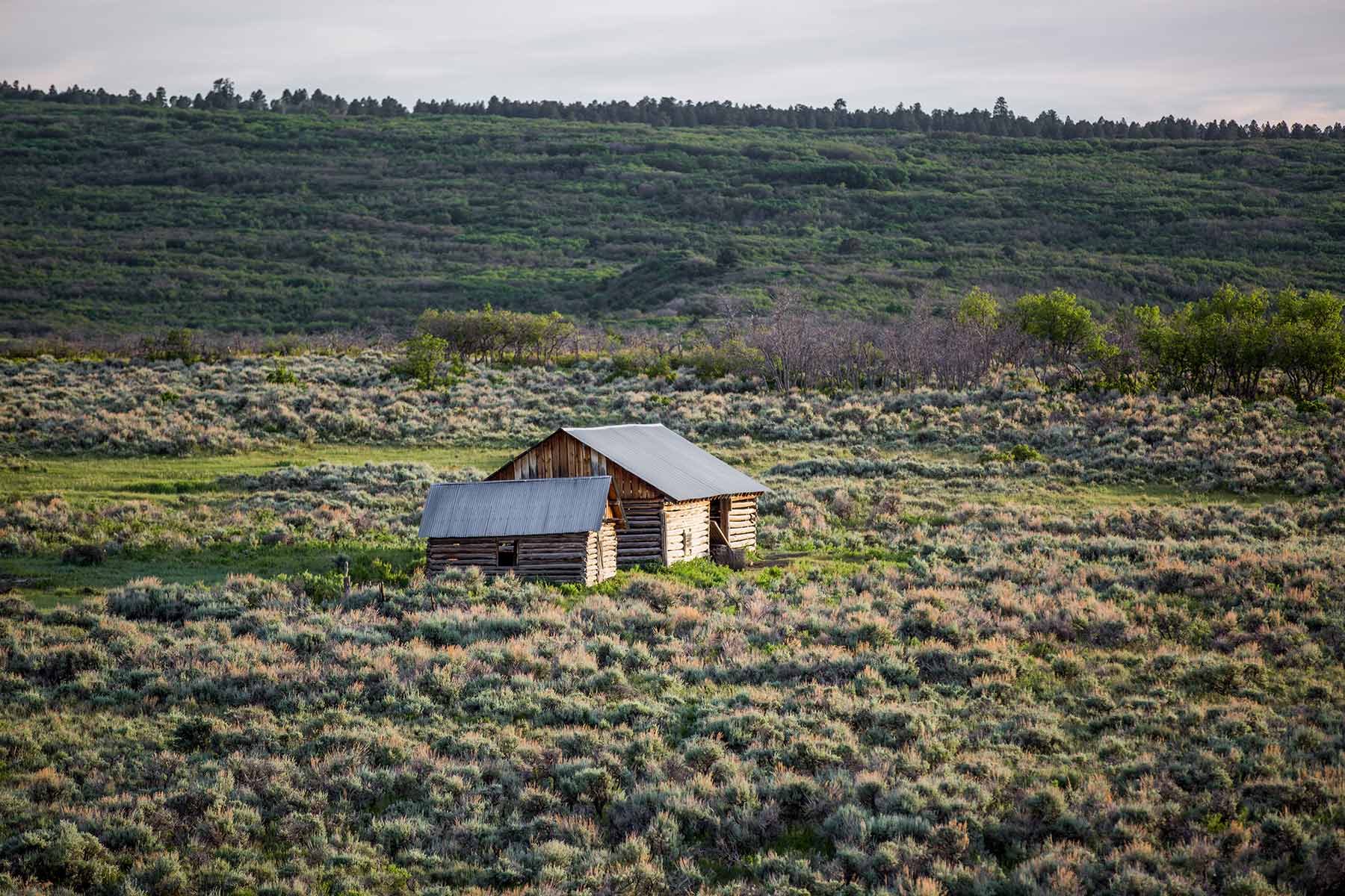 Canyon Creek Ranch property picture 18 of 50