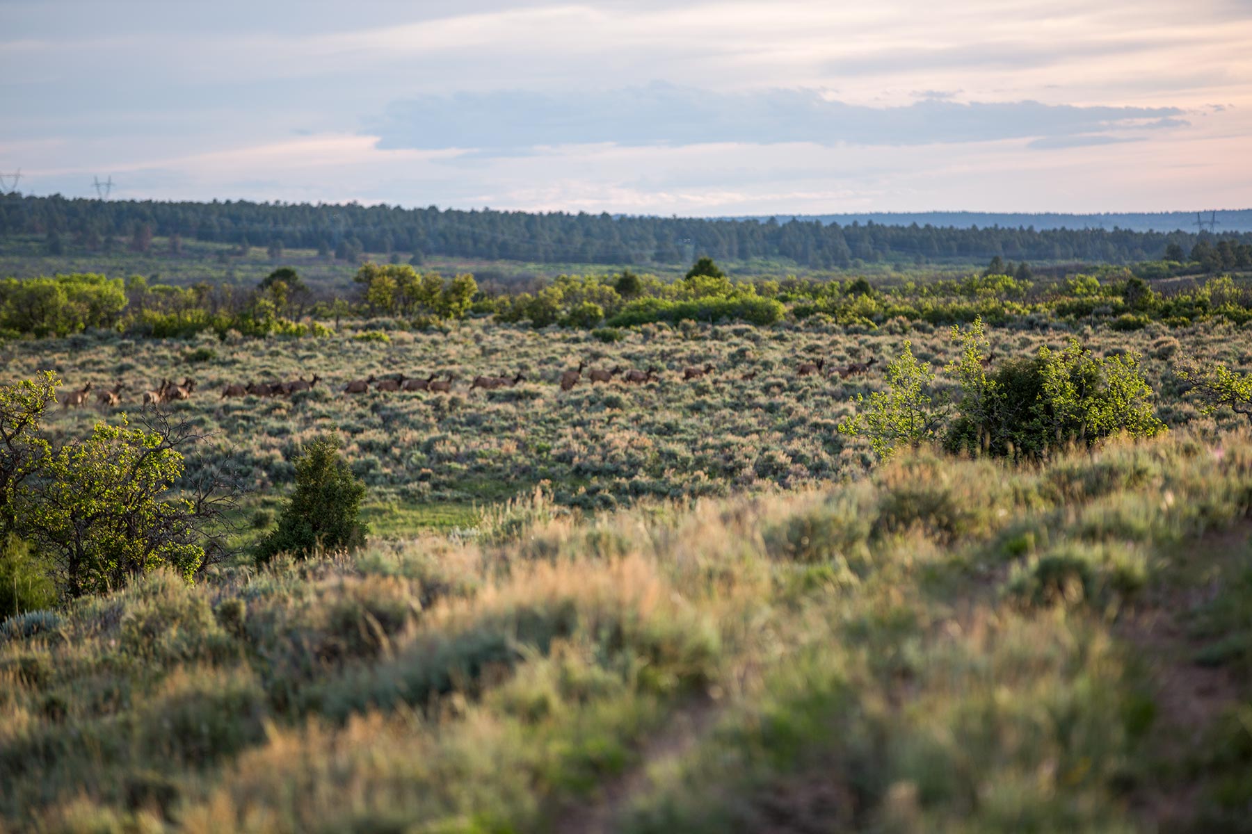 Canyon Creek Ranch property picture 44 of 50