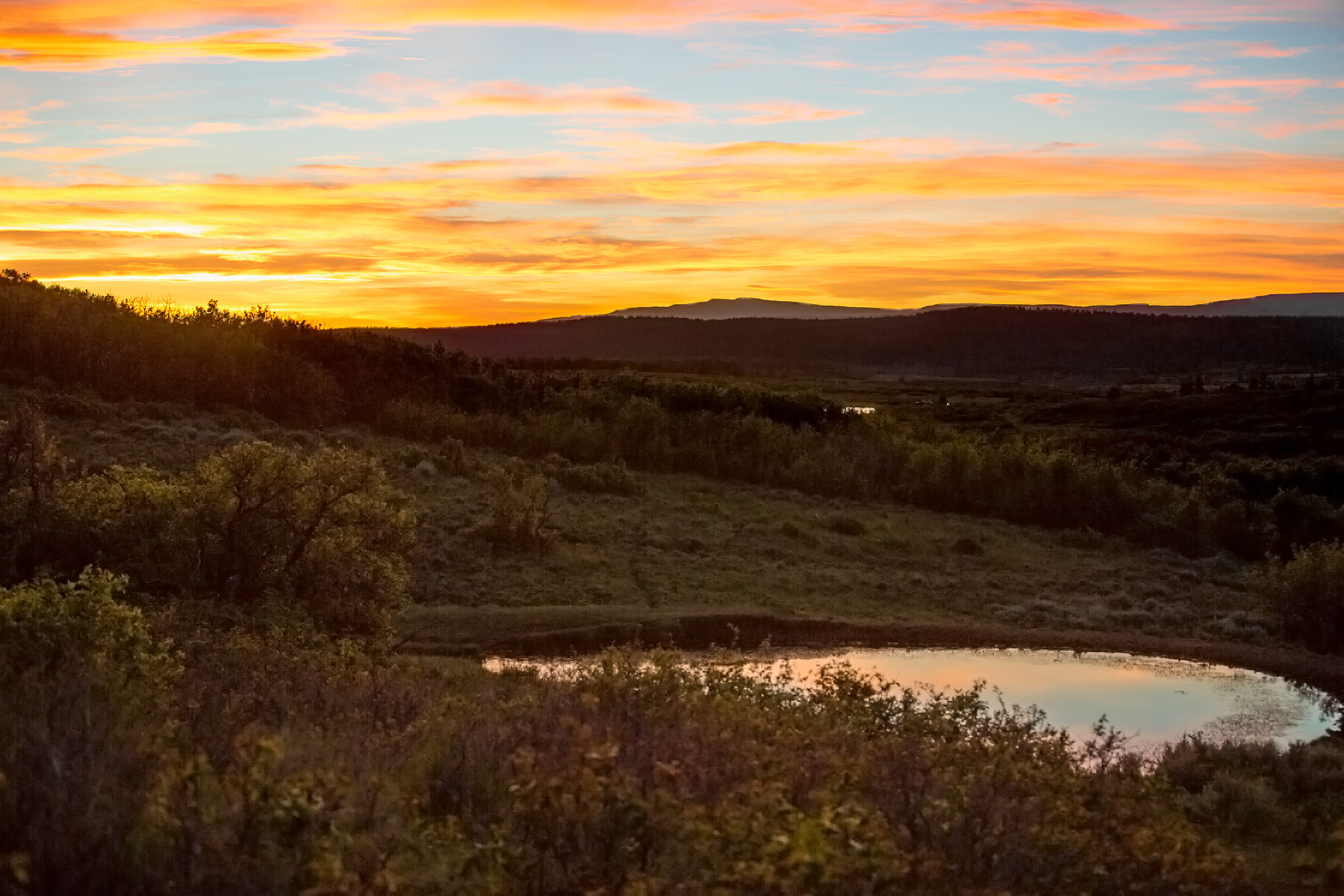 Canyon Creek Ranch property picture 8 of 50
