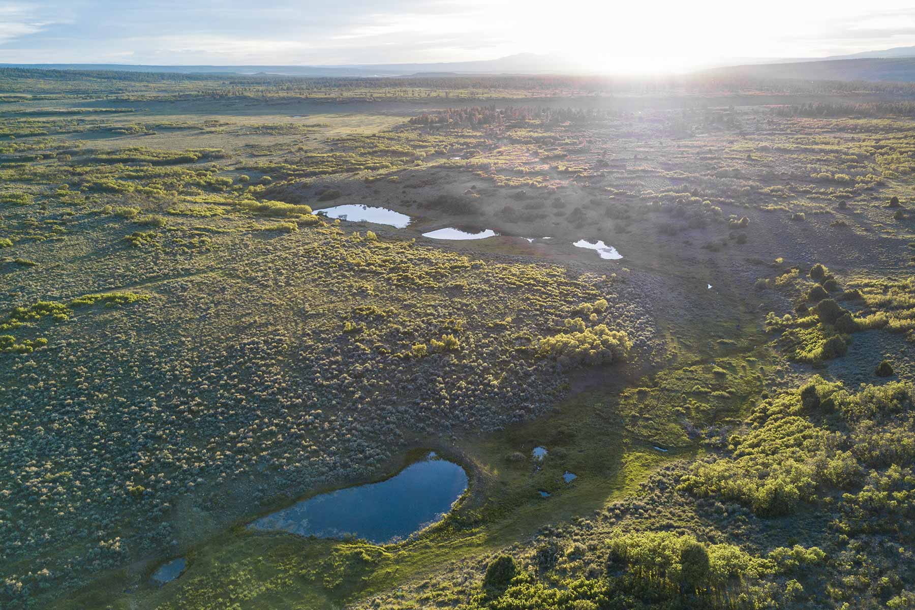 Canyon Creek Ranch property picture 50 of 50