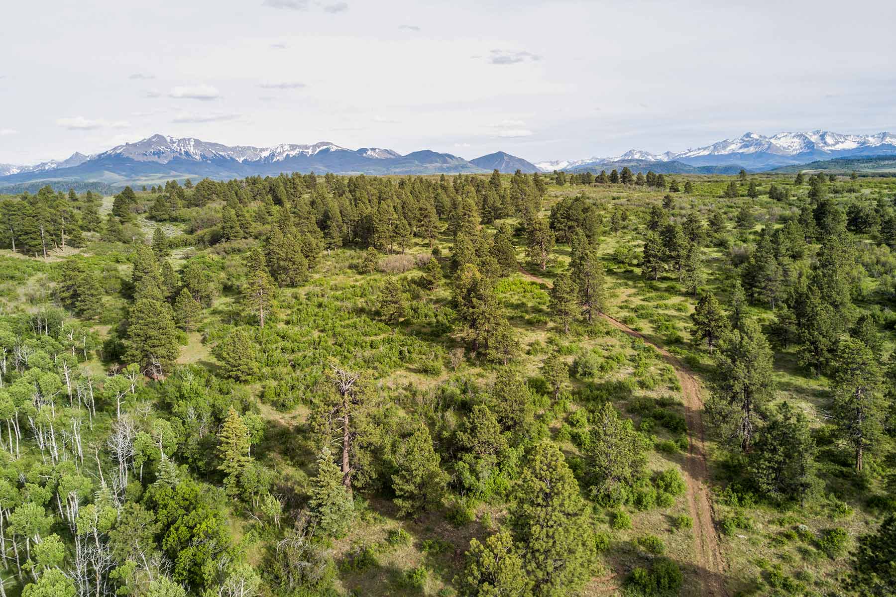 Canyon Creek Ranch property picture 25 of 50