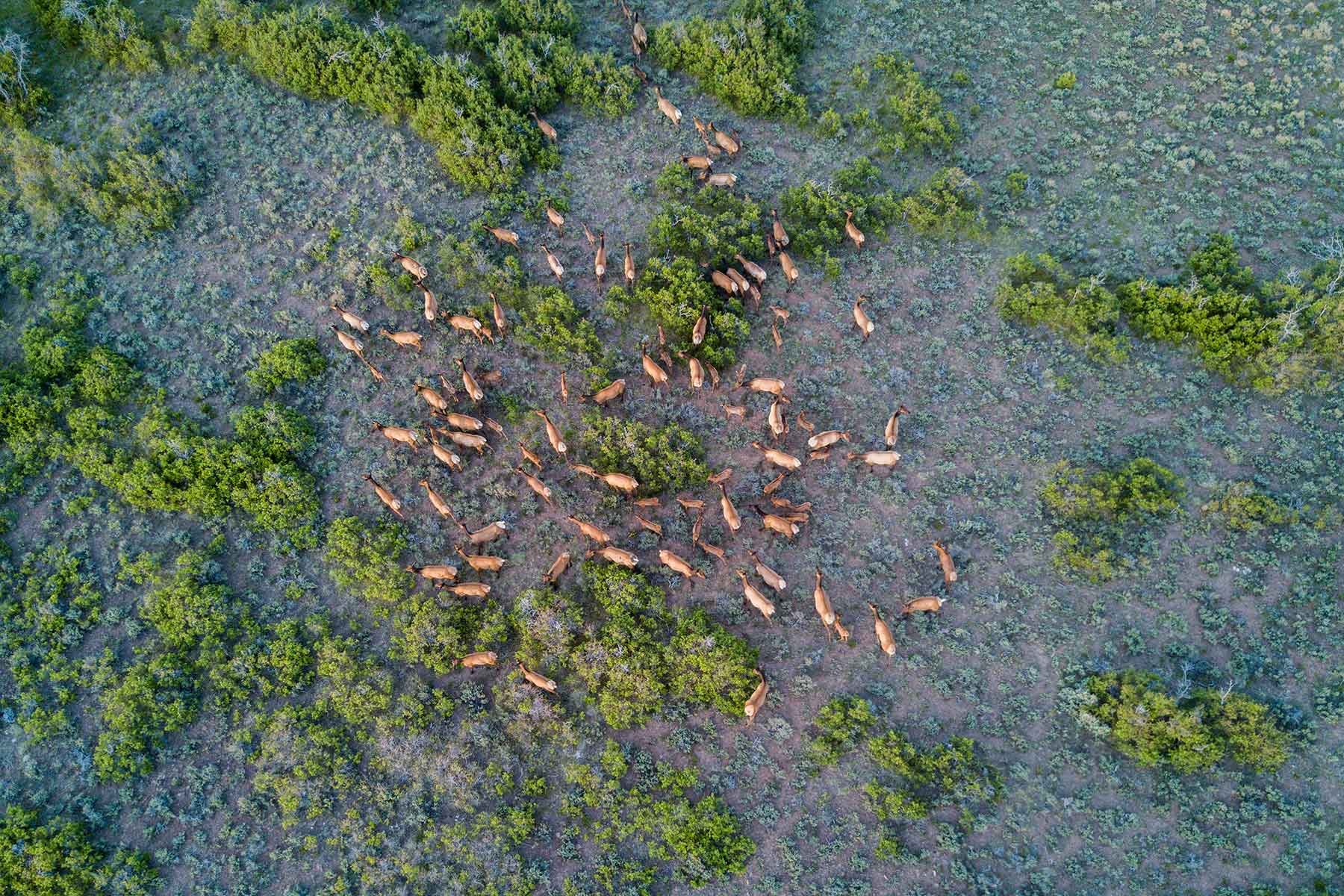 Canyon Creek Ranch property picture 12 of 50