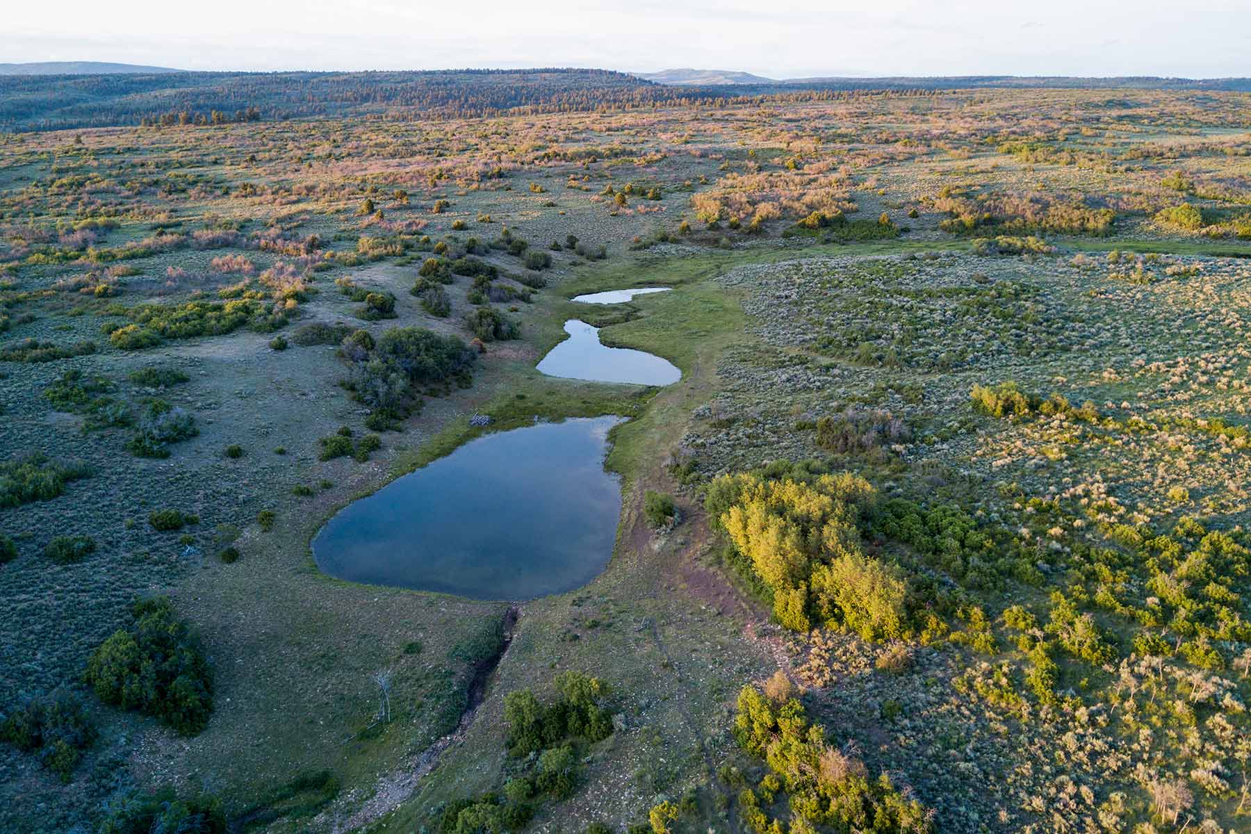 Canyon Creek Ranch property picture 23 of 50