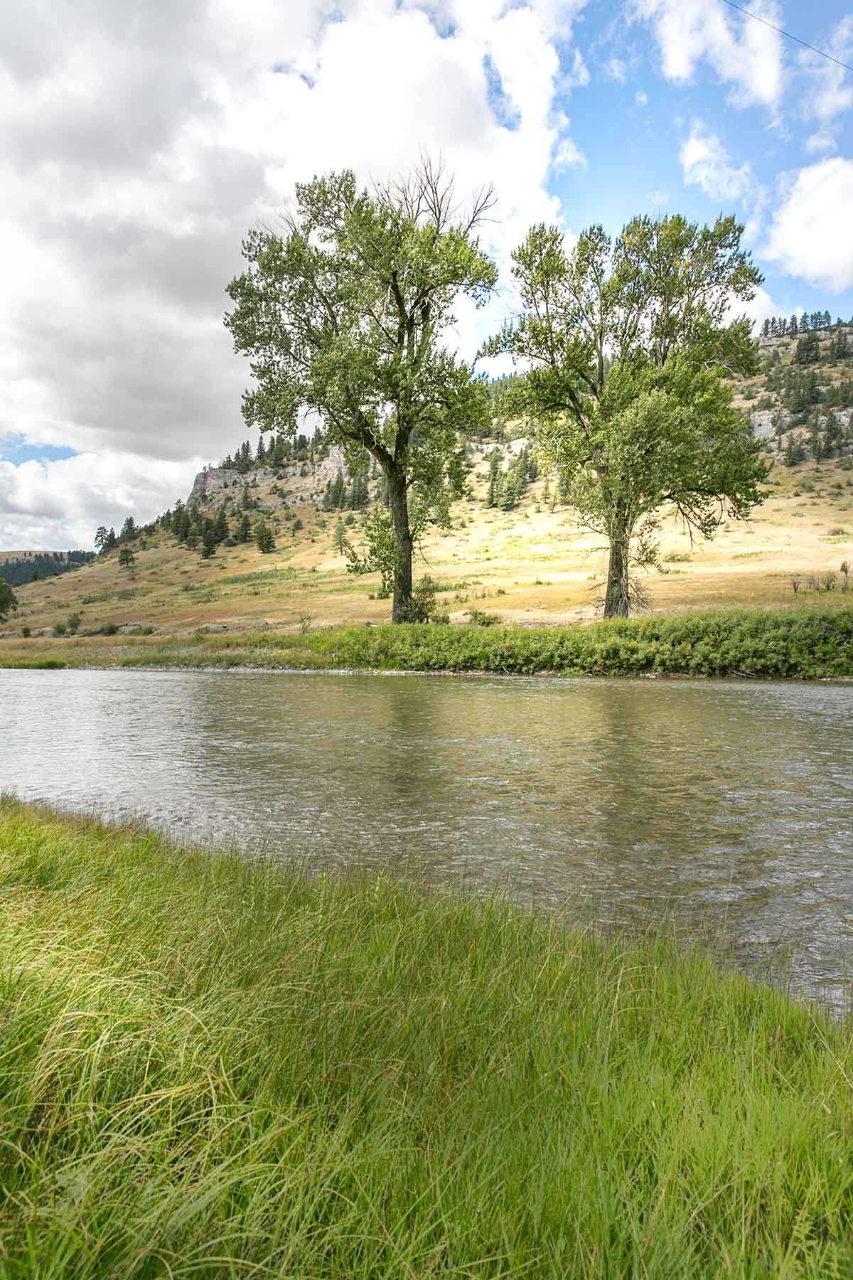 Smith River Canyon Ranch property picture 9 of 30