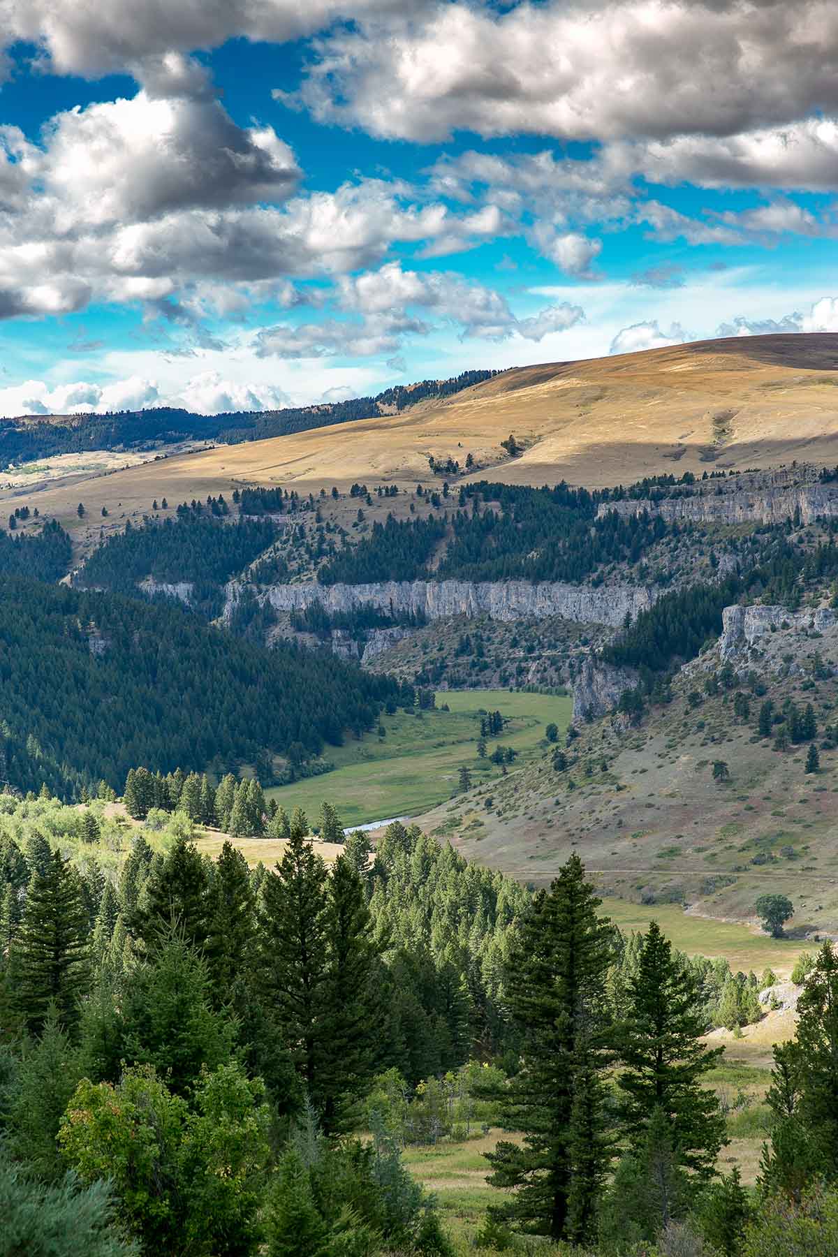 Smith River Canyon Ranch property picture 11 of 30