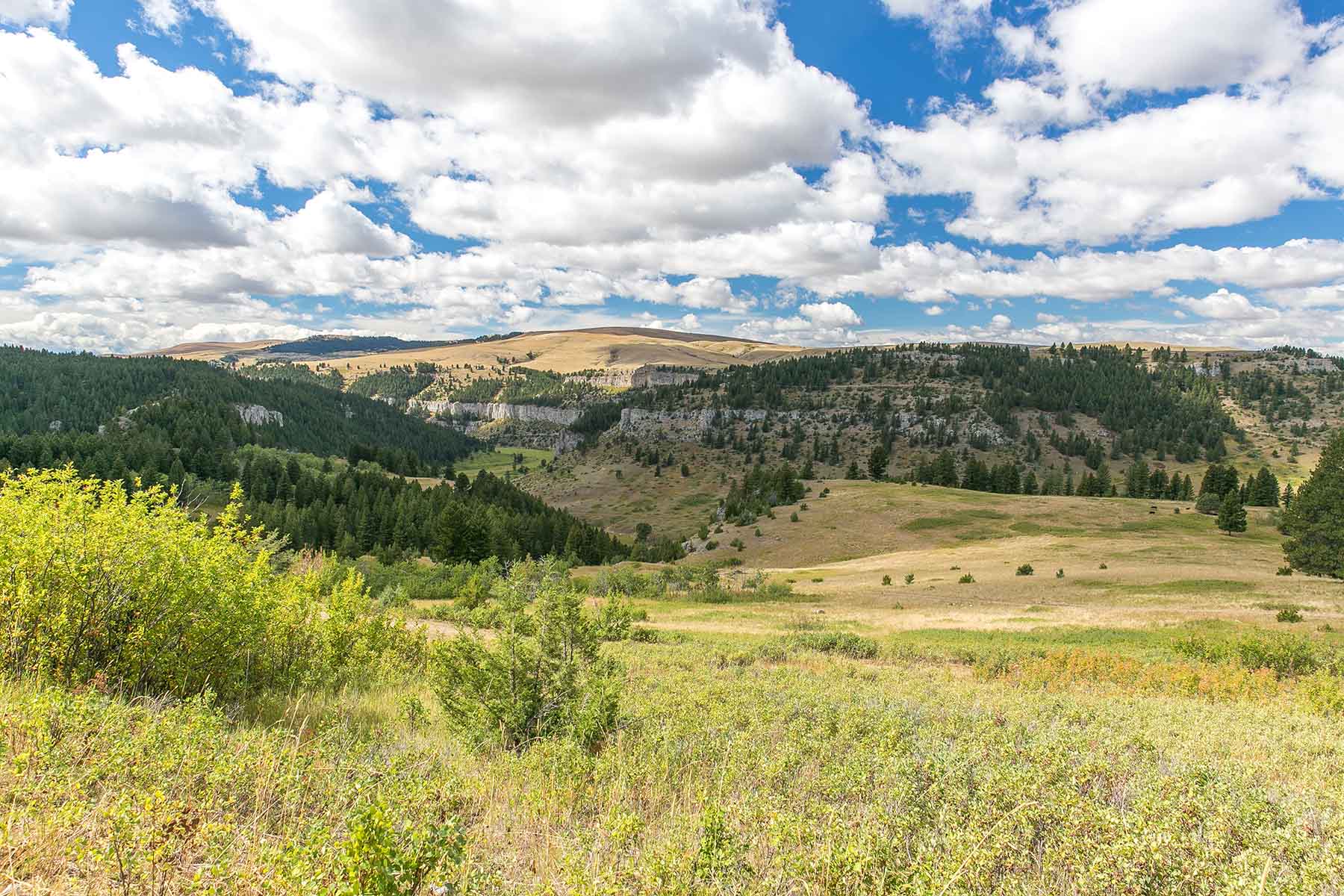 Smith River Canyon Ranch property picture 16 of 30