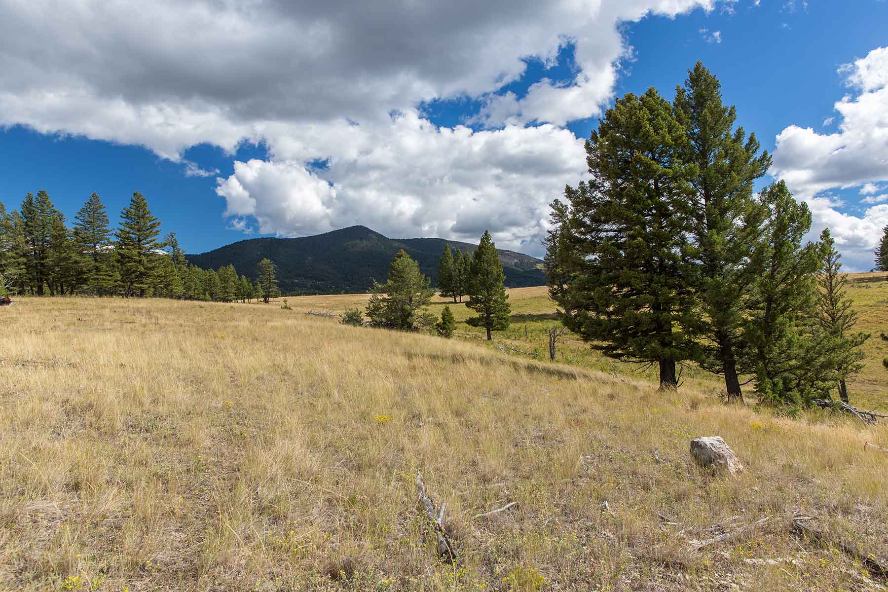 Smith River Canyon Ranch property picture 29 of 30