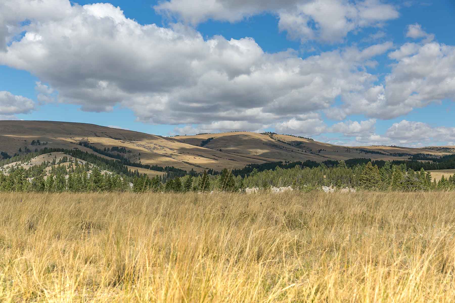 Smith River Canyon Ranch property picture 6 of 30