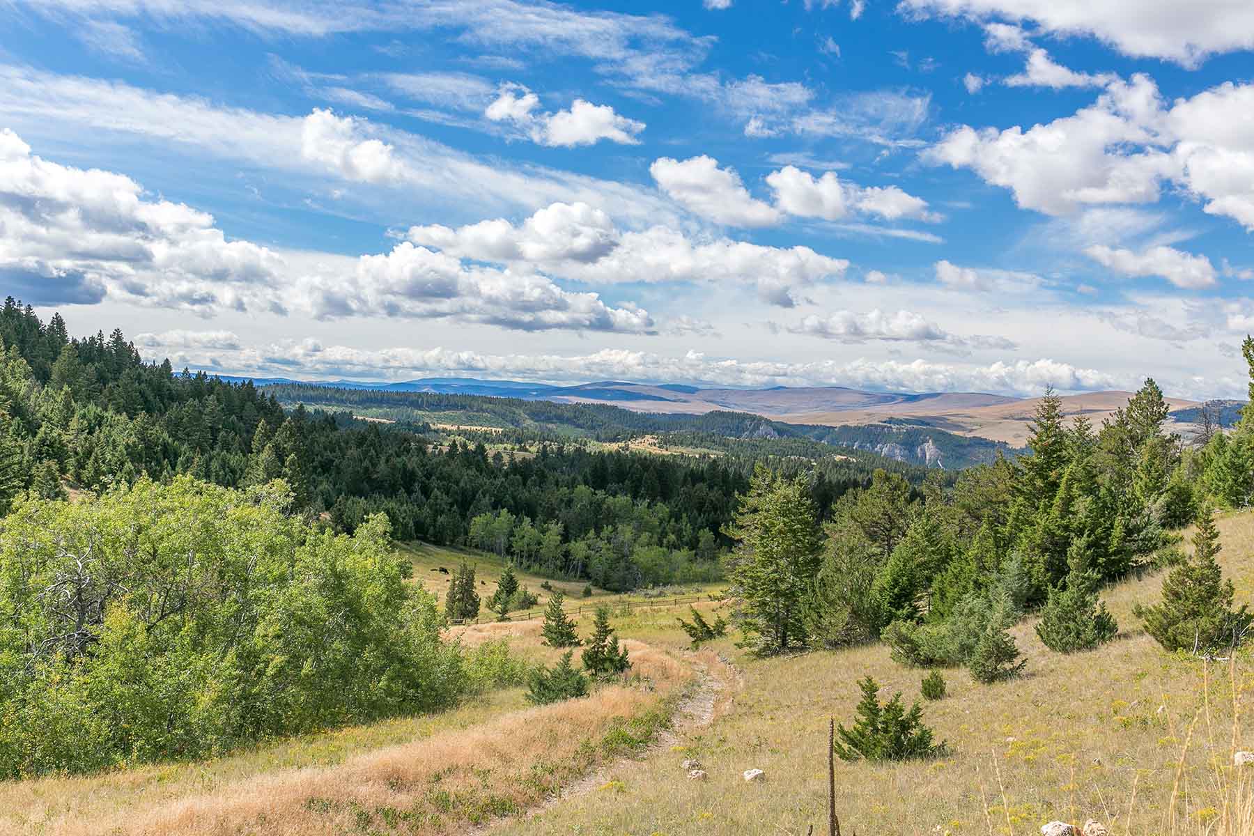 Smith River Canyon Ranch property picture 2 of 30