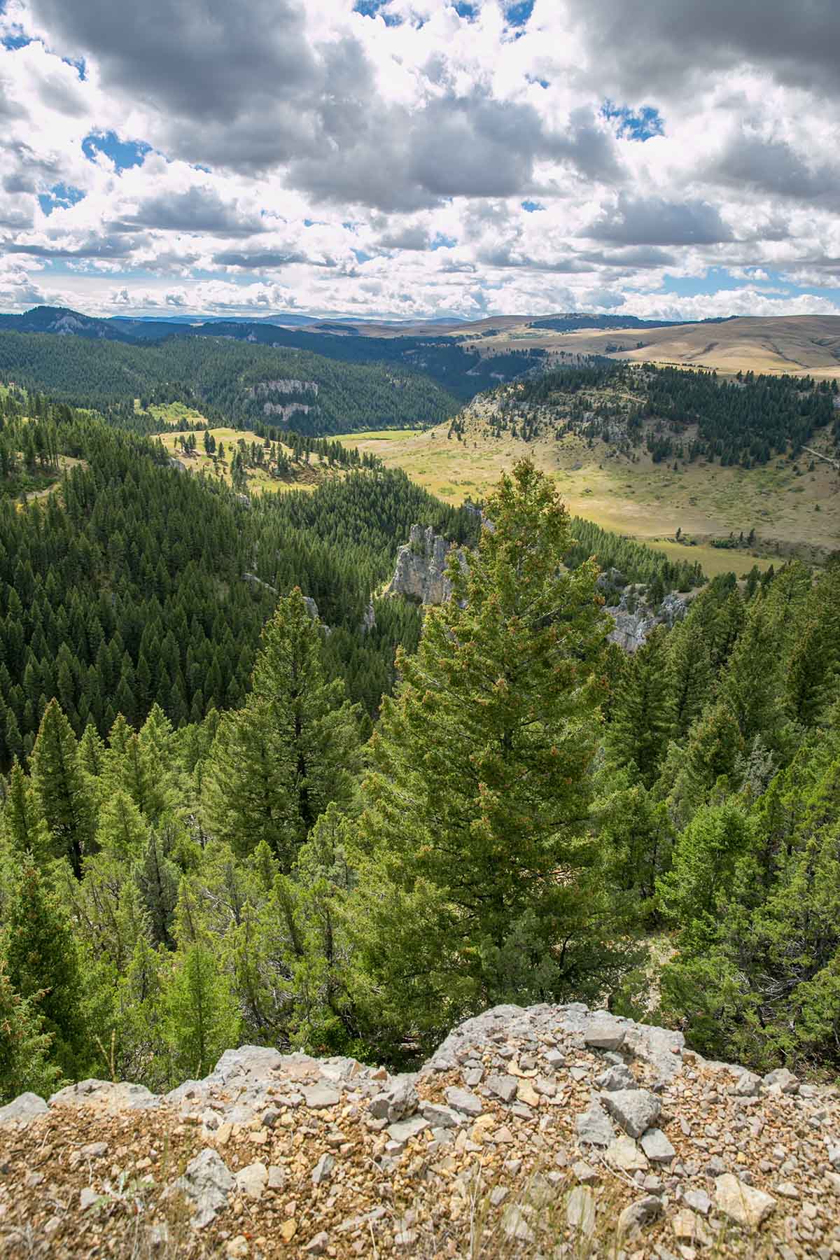 Smith River Canyon Ranch property picture 20 of 30