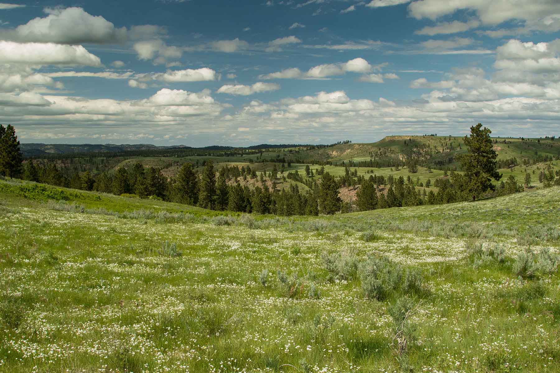 Rosebud South Ranch property picture 11 of 12