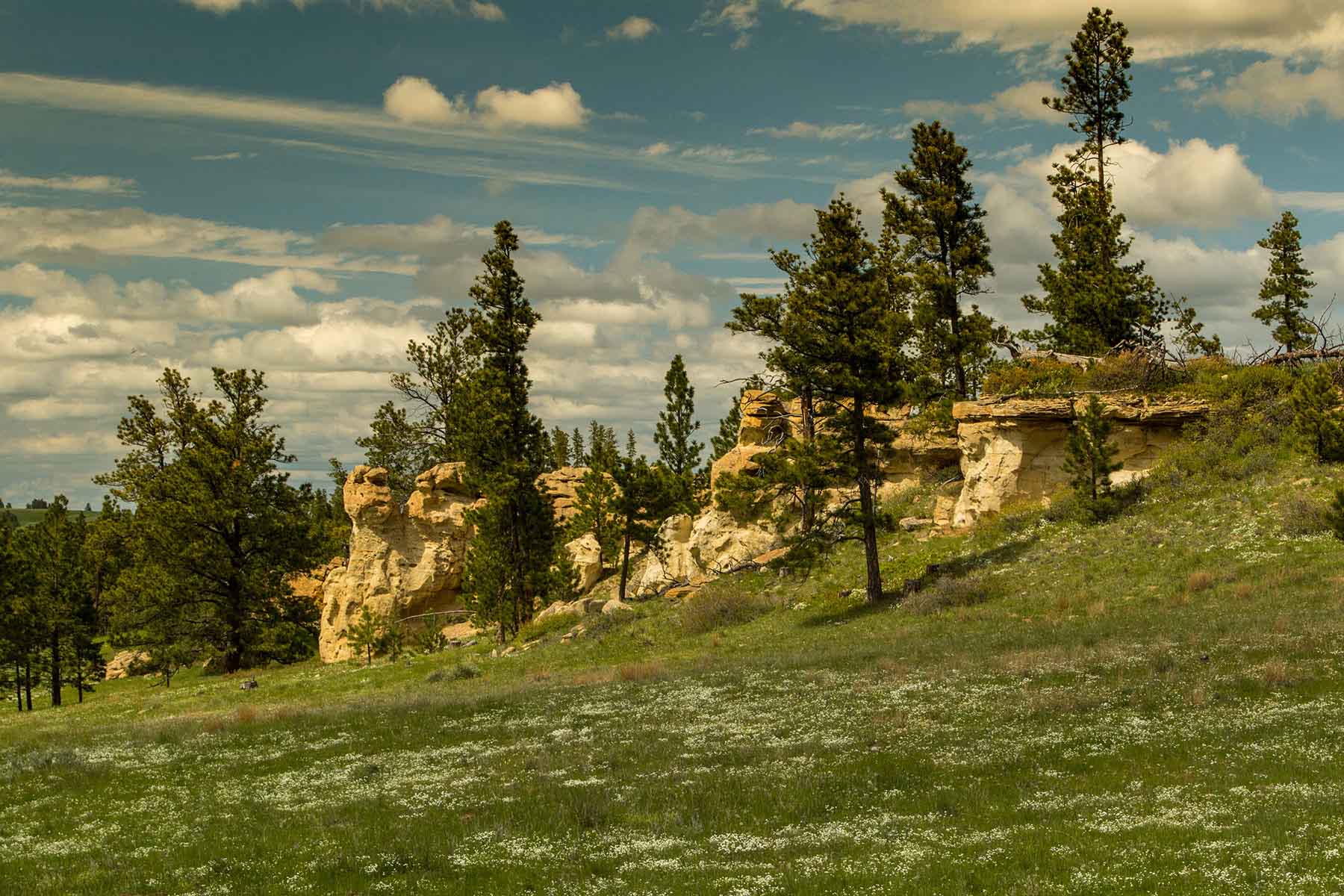 Rosebud South Ranch property picture 10 of 12