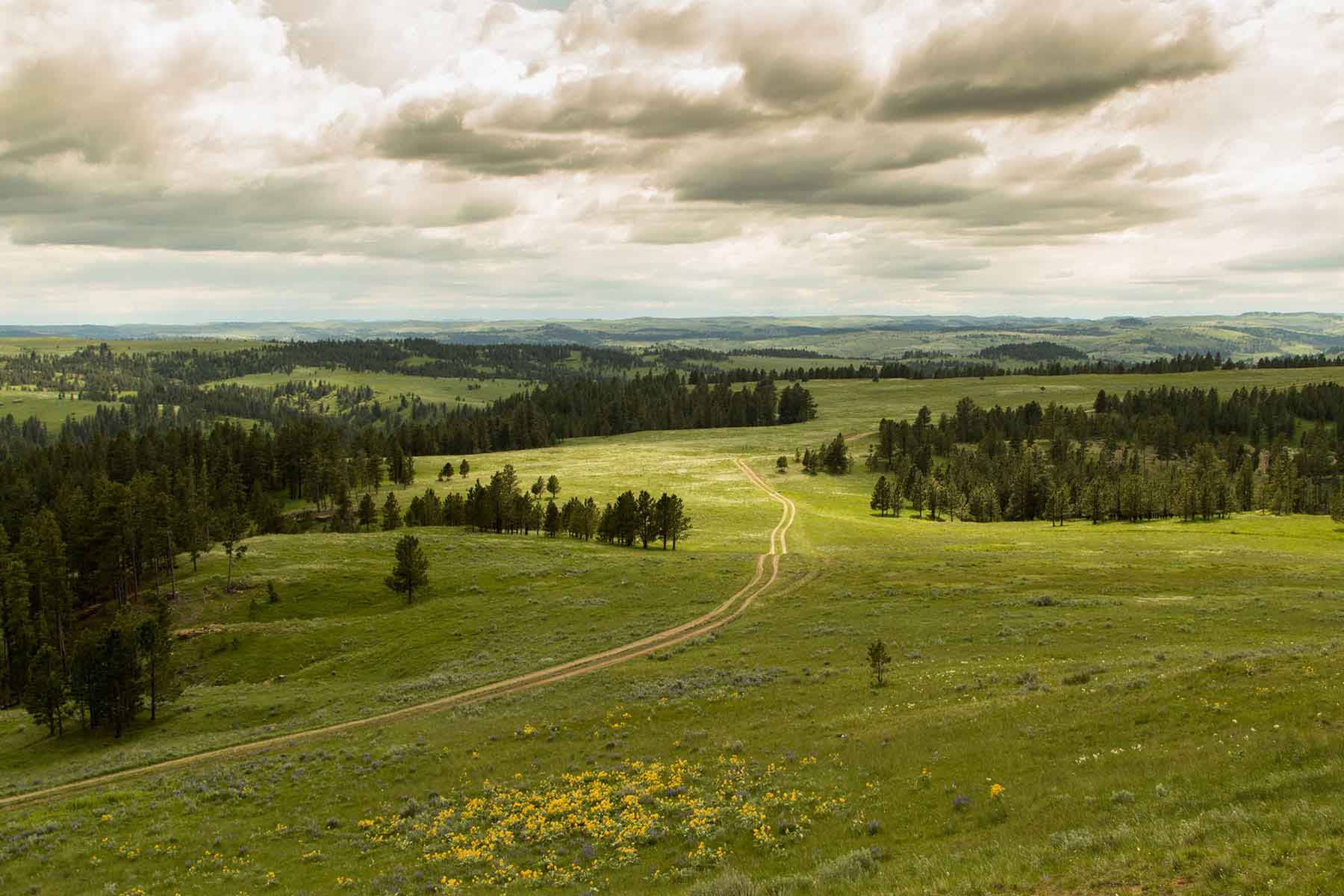 Rosebud South Ranch Sold Montana Hall and Hall