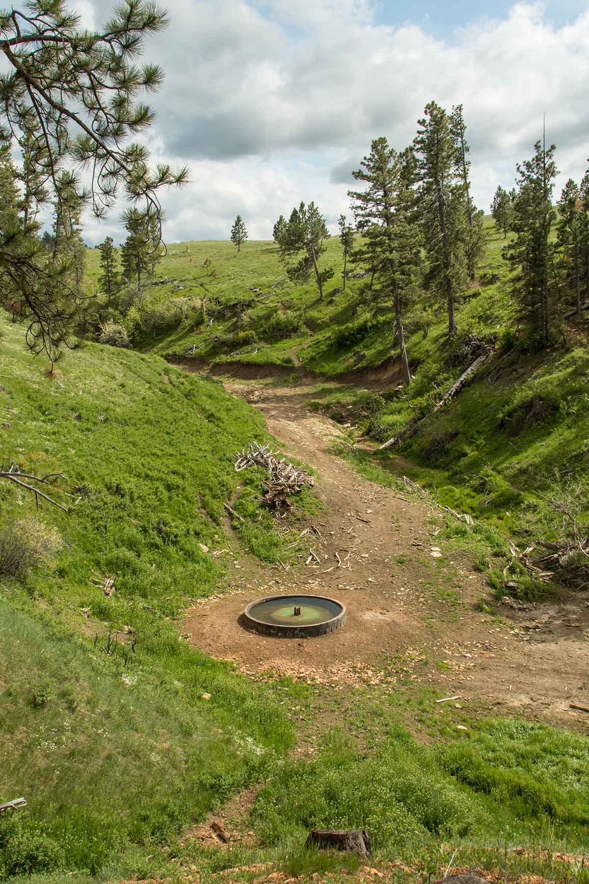 Rosebud South Ranch Sold Montana Hall and Hall