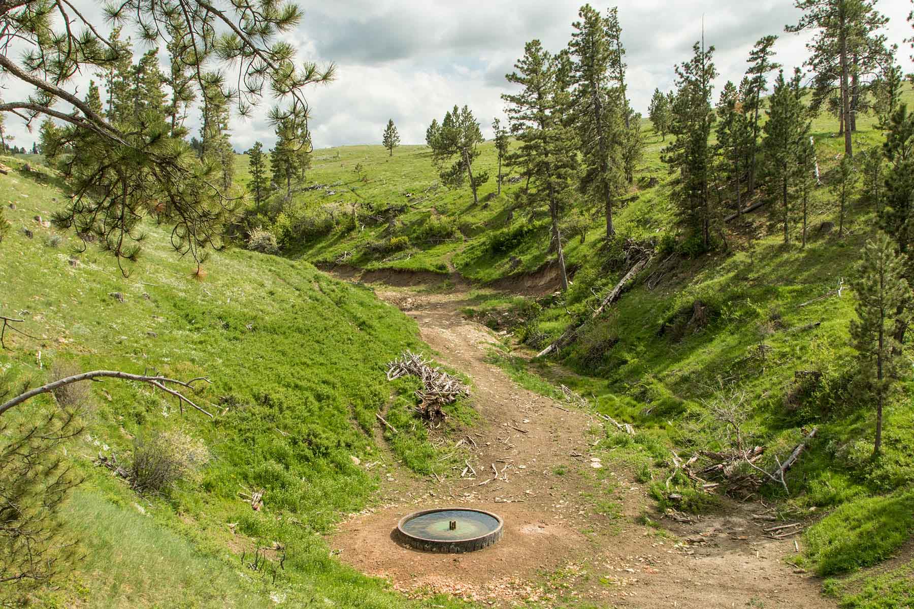 Rosebud South Ranch property picture 8 of 12