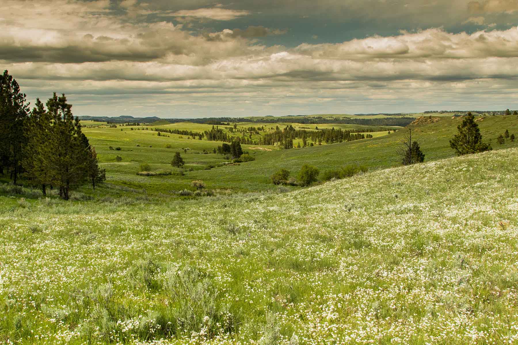 Rosebud South Ranch property picture 5 of 12