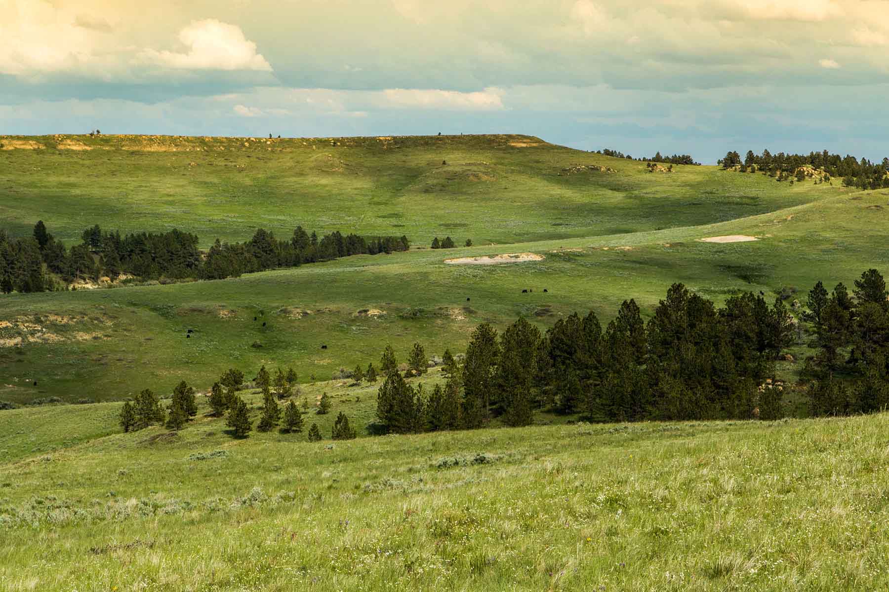 Rosebud South Ranch property picture 6 of 12